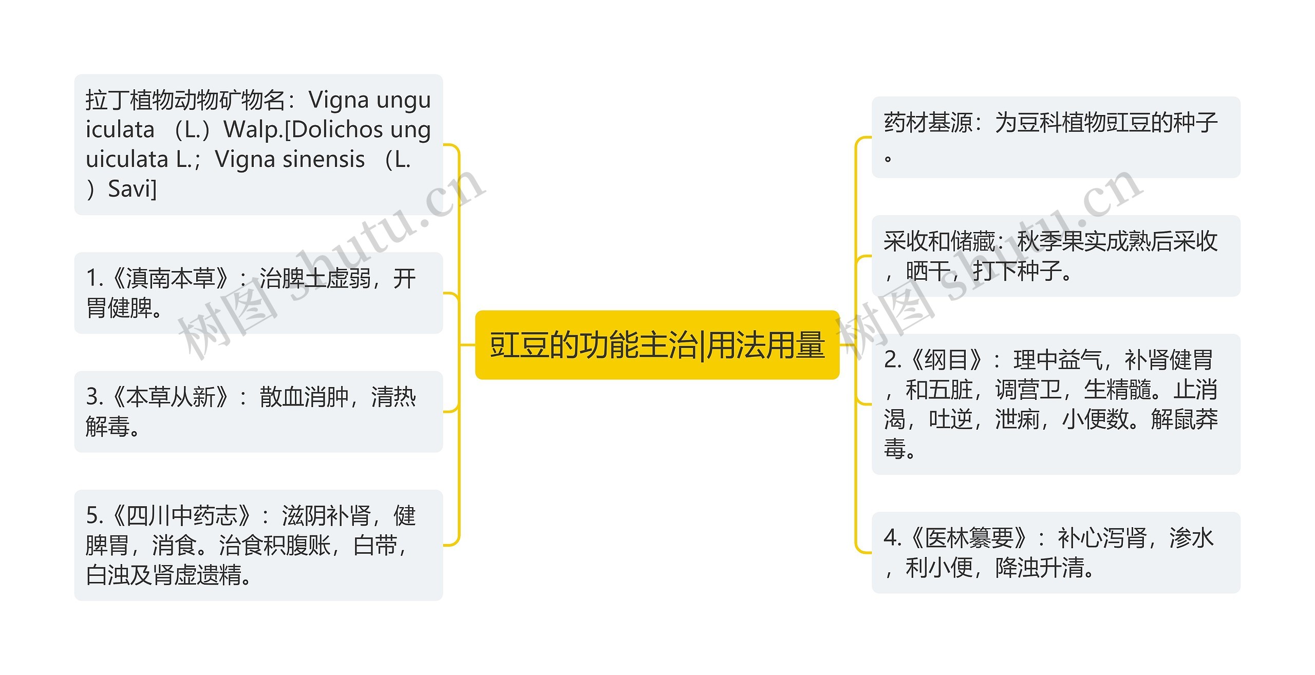 豇豆的功能主治|用法用量