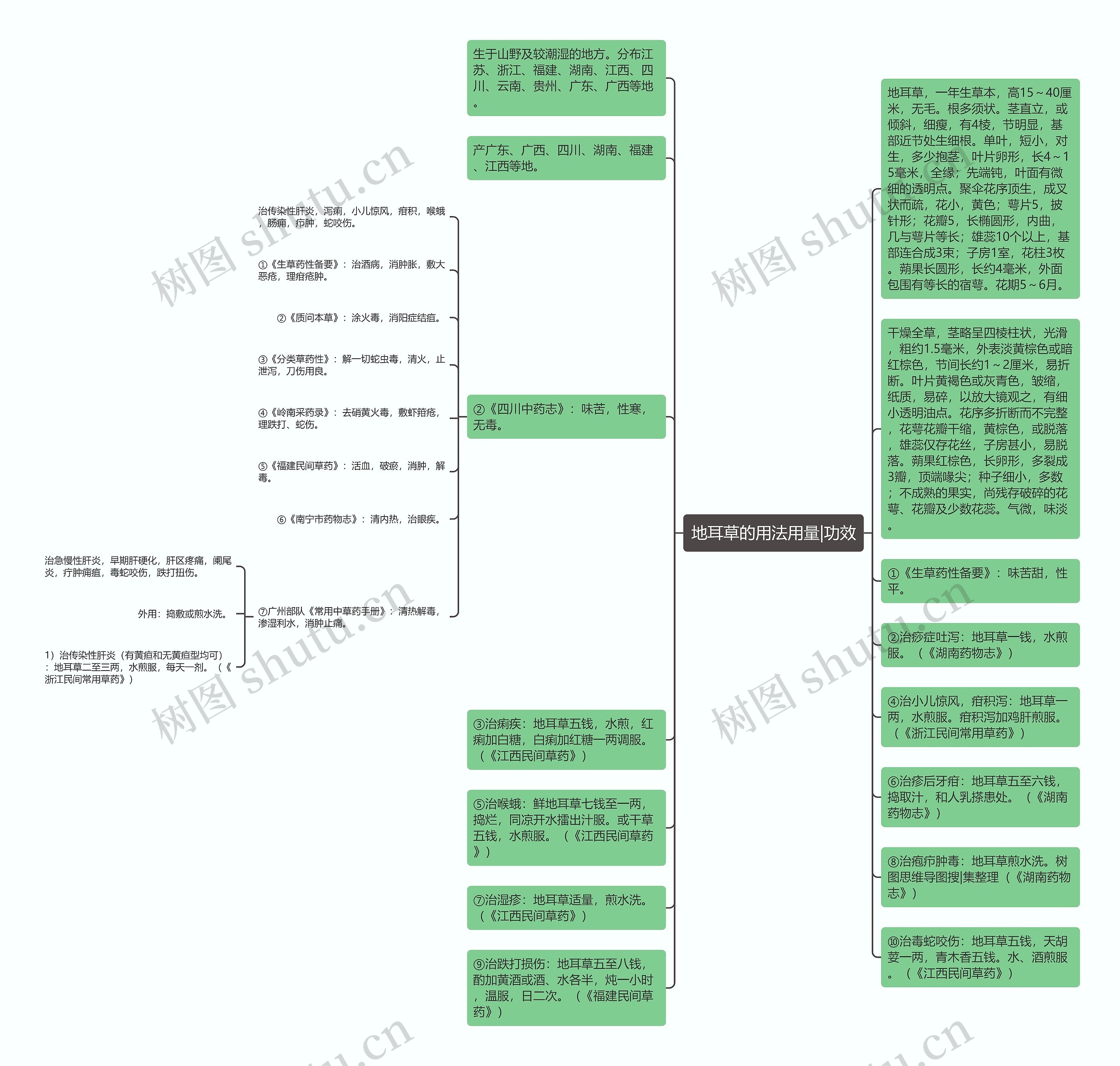 地耳草的用法用量|功效思维导图
