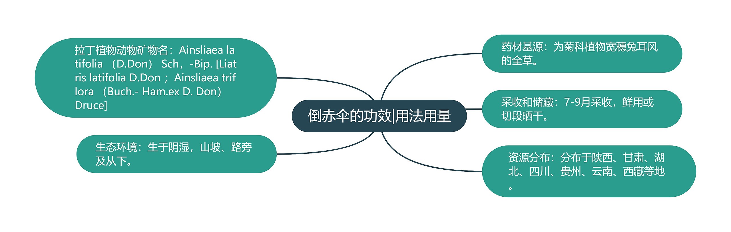 倒赤伞的功效|用法用量
