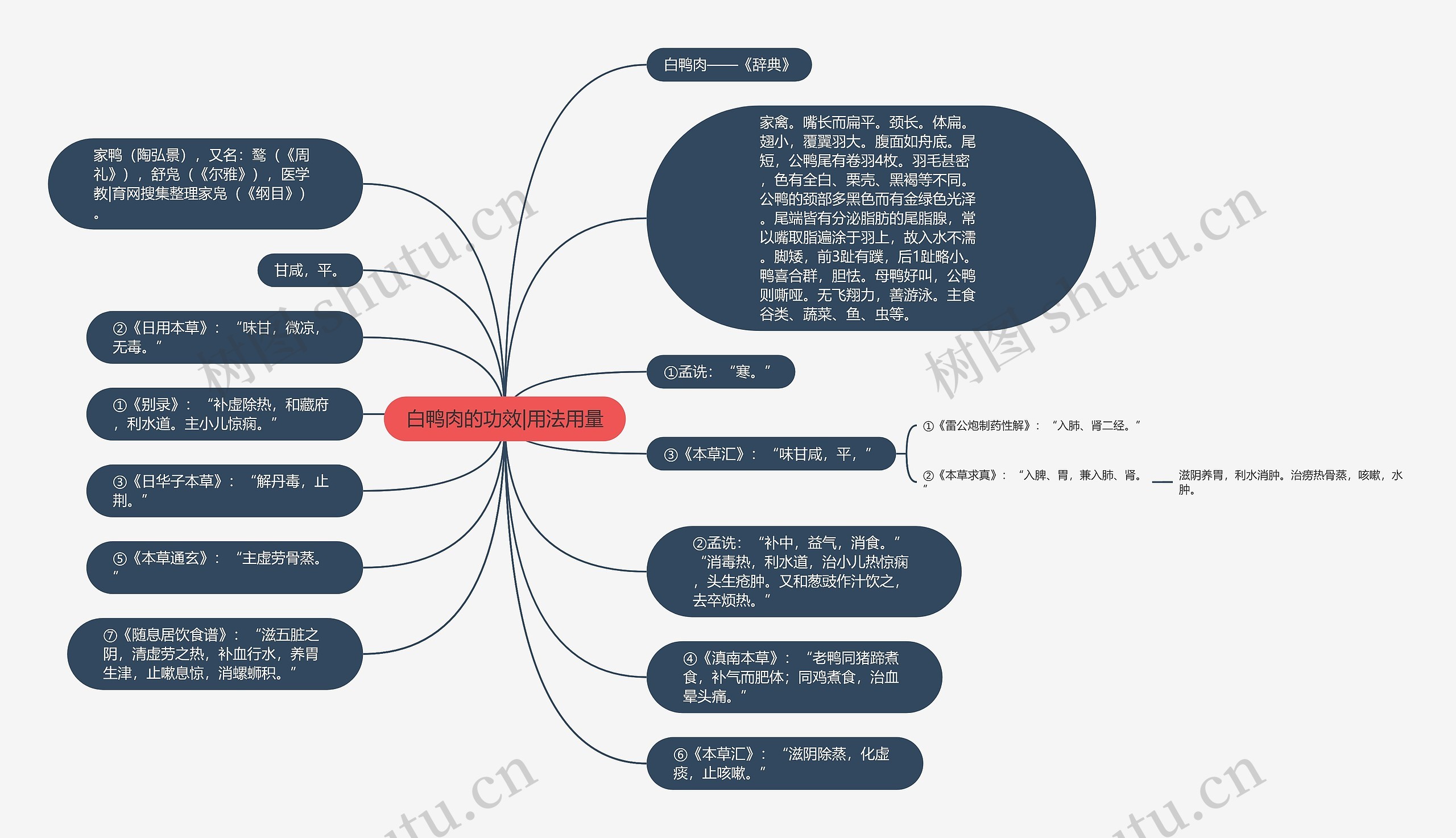 白鸭肉的功效|用法用量思维导图