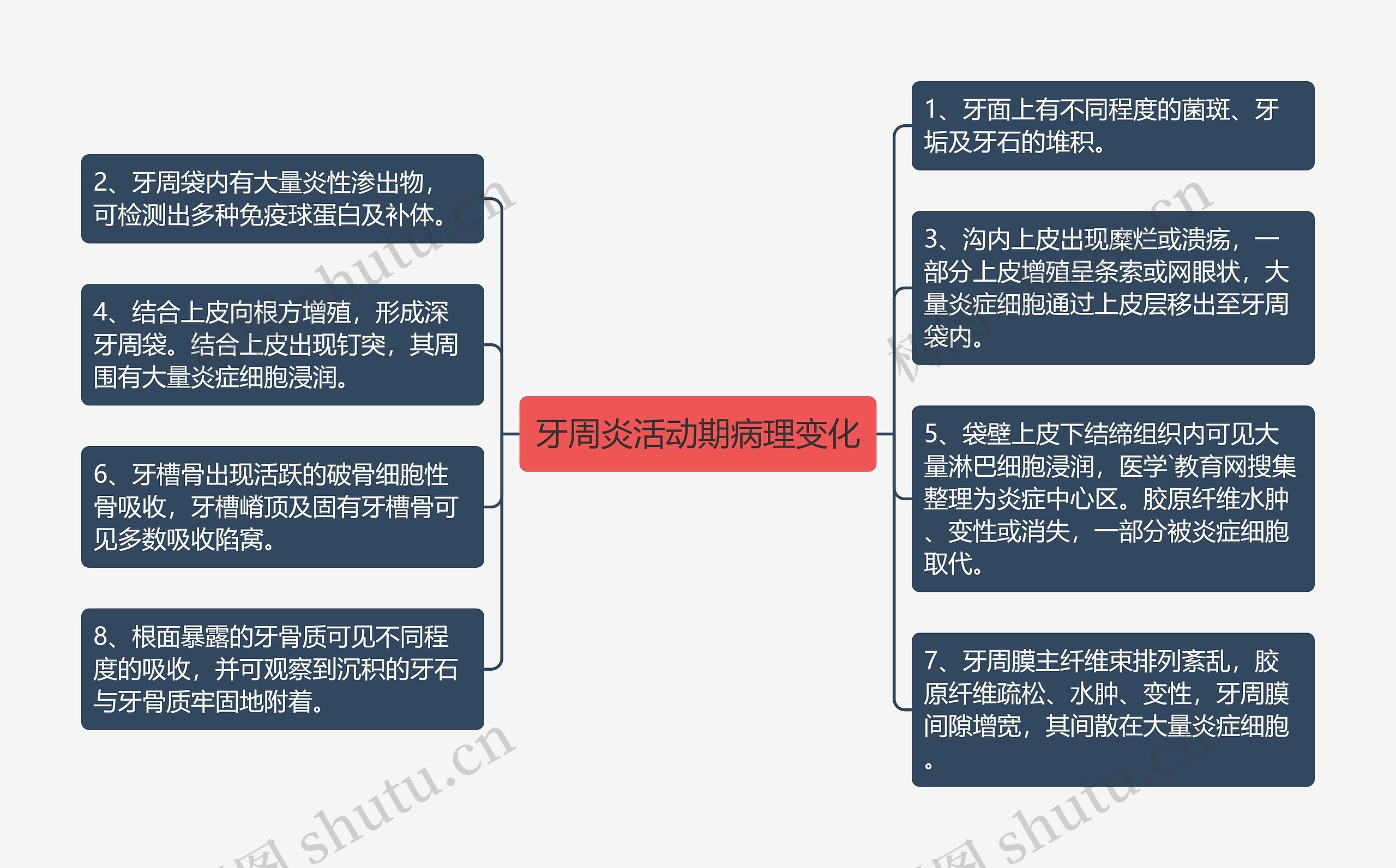 牙周炎活动期病理变化思维导图