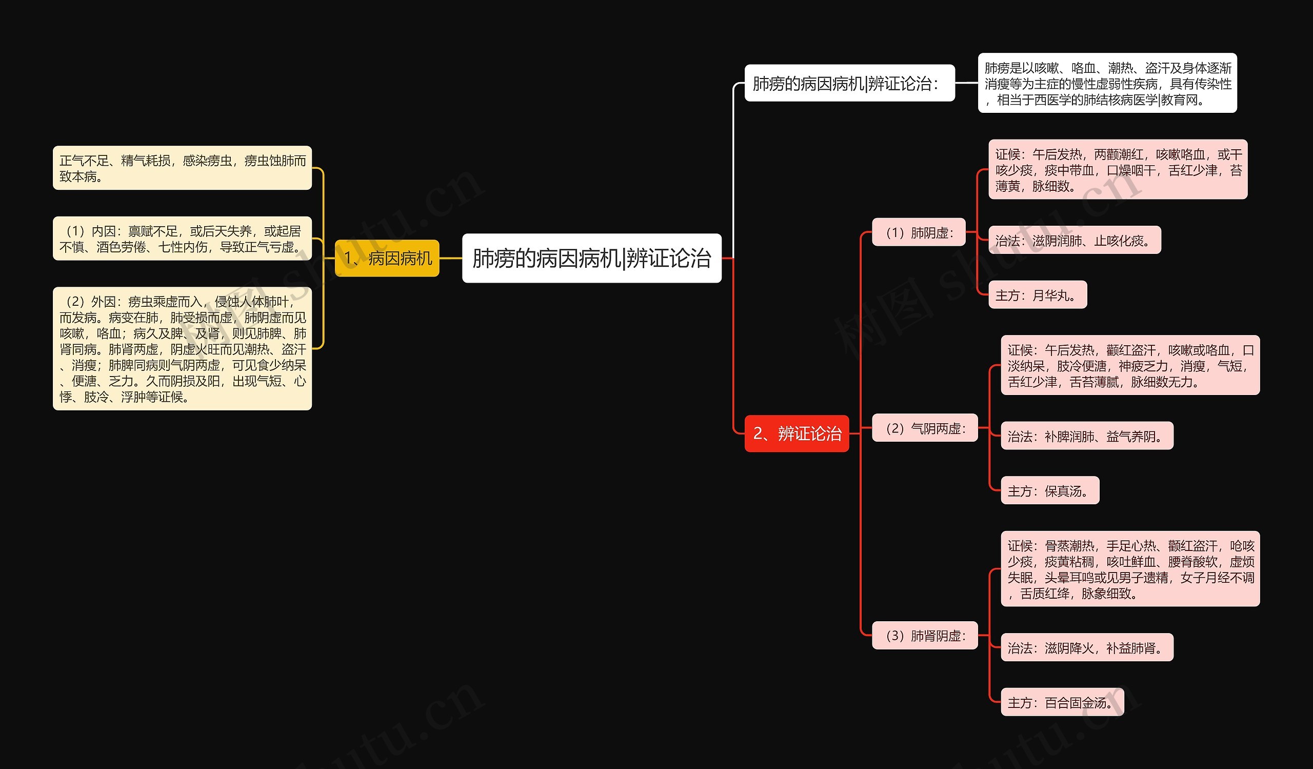 肺痨的病因病机|辨证论治思维导图