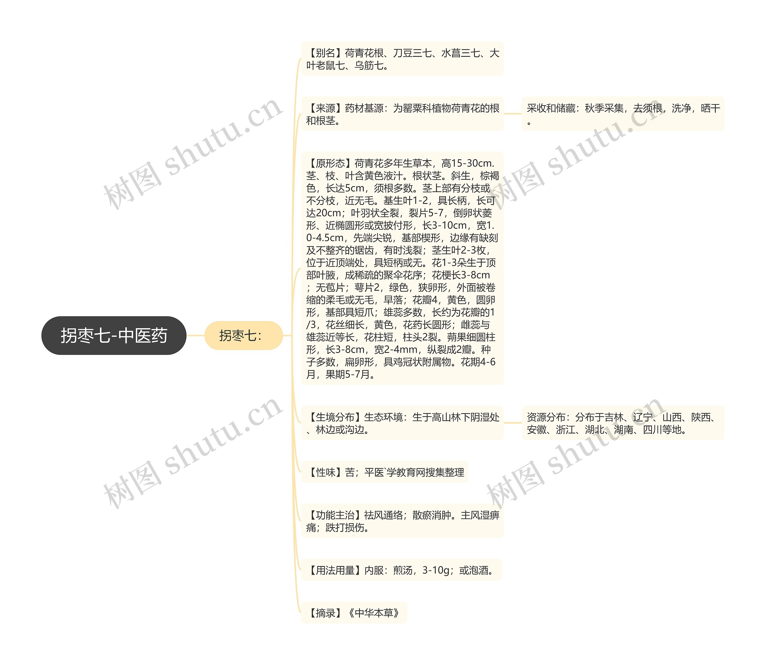 拐枣七-中医药 拐枣七-中医药
