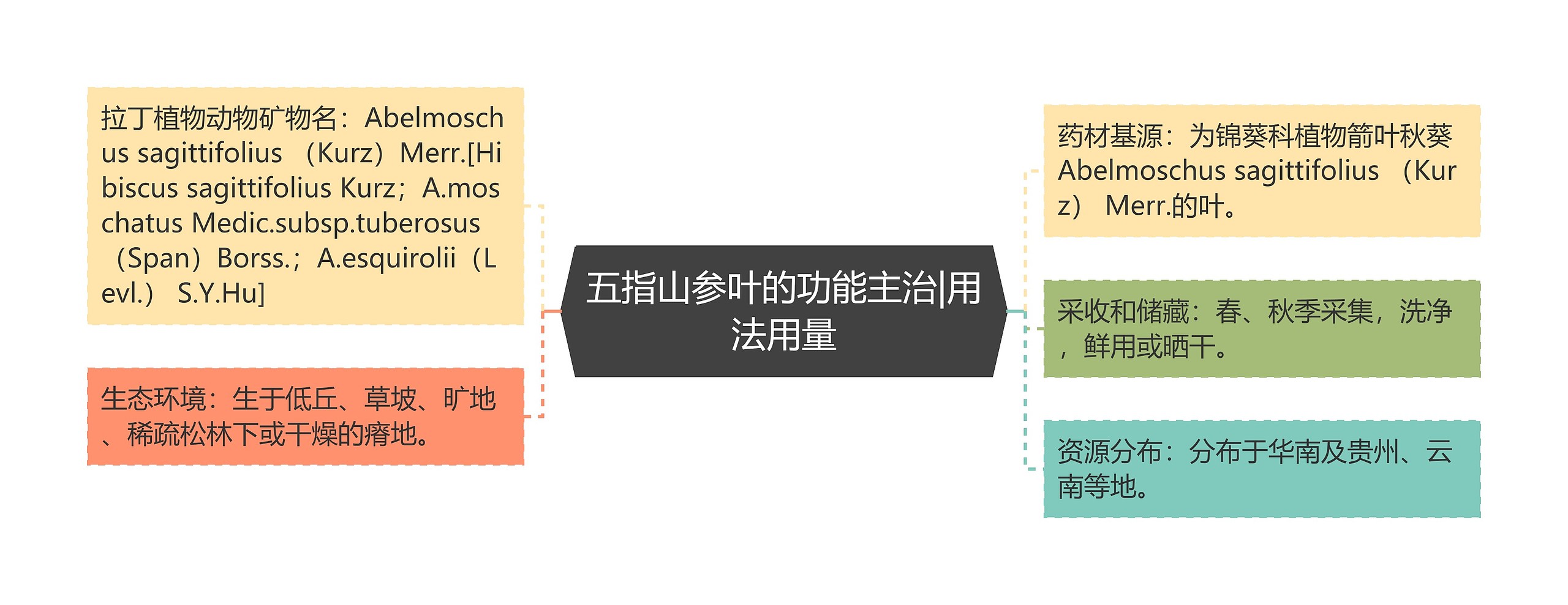 五指山参叶的功能主治|用法用量