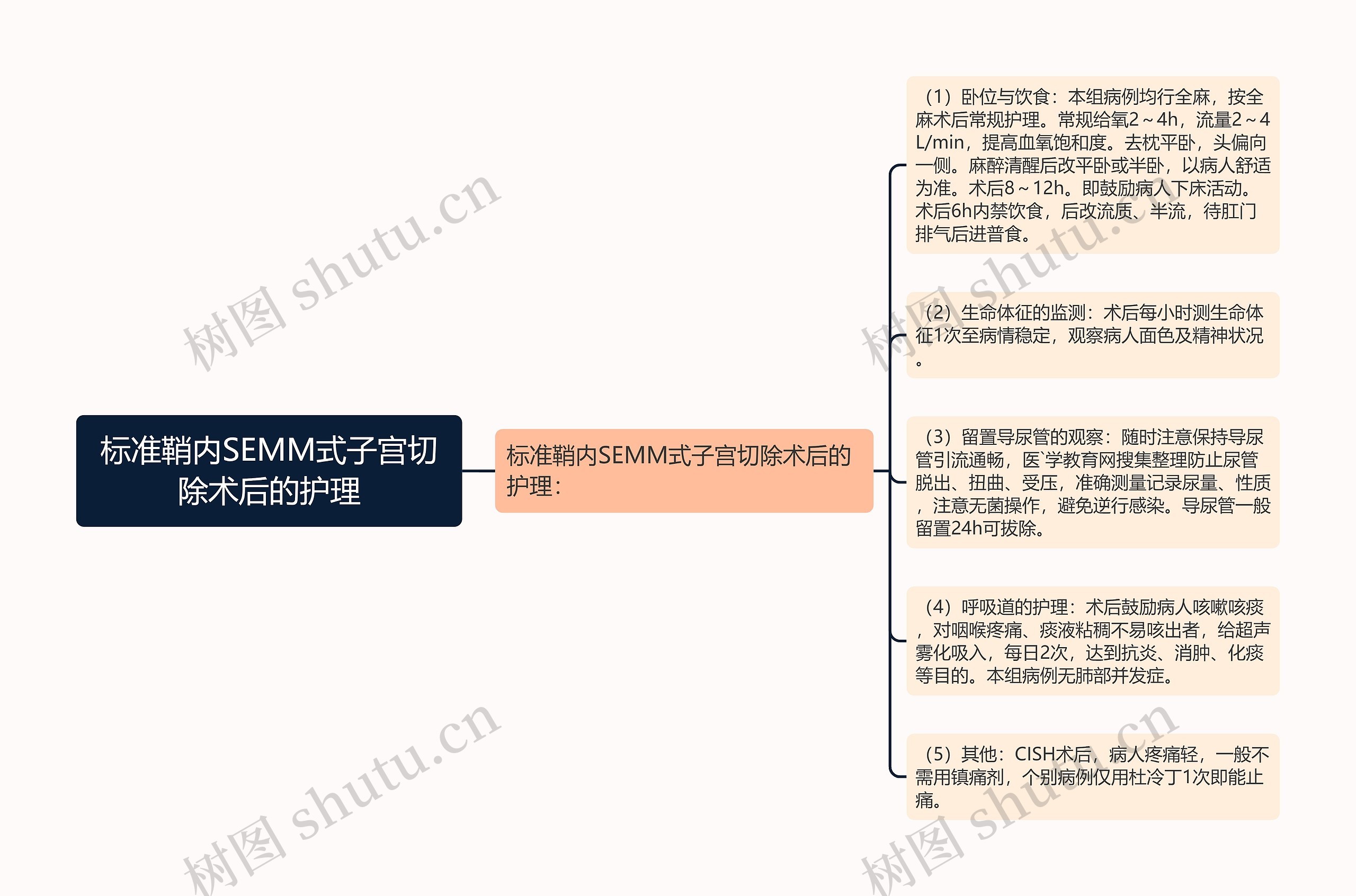 标准鞘内SEMM式子宫切除术后的护理思维导图