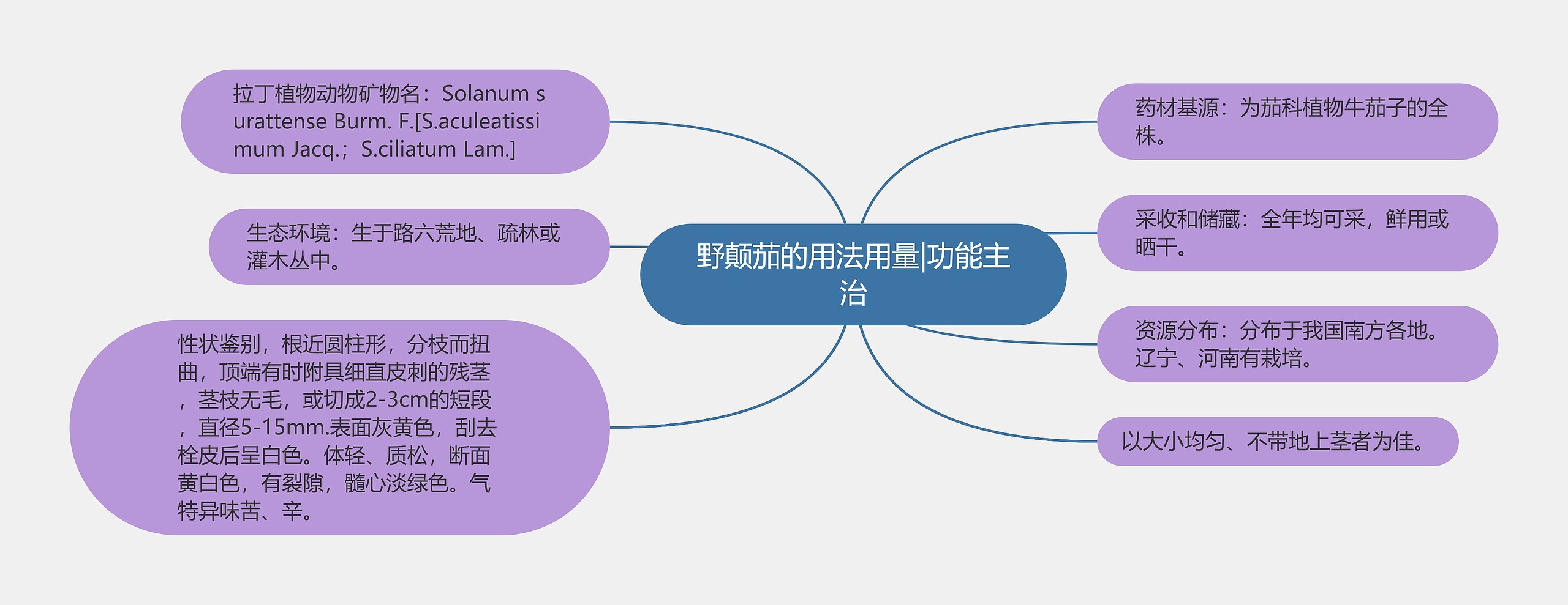 野颠茄的用法用量|功能主治