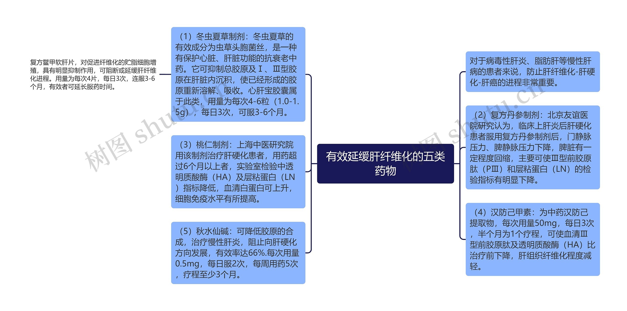 有效延缓肝纤维化的五类药物