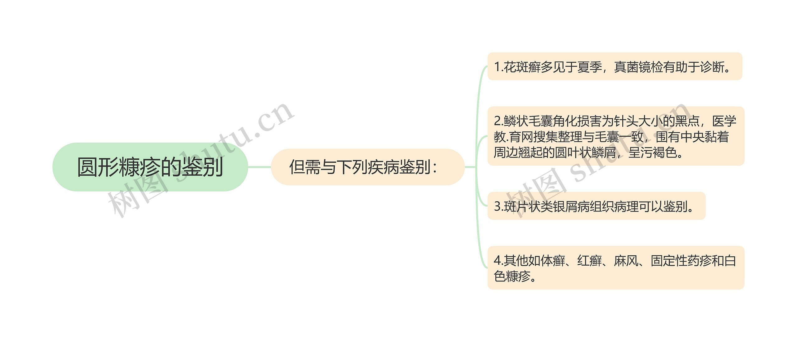 圆形糠疹的鉴别思维导图