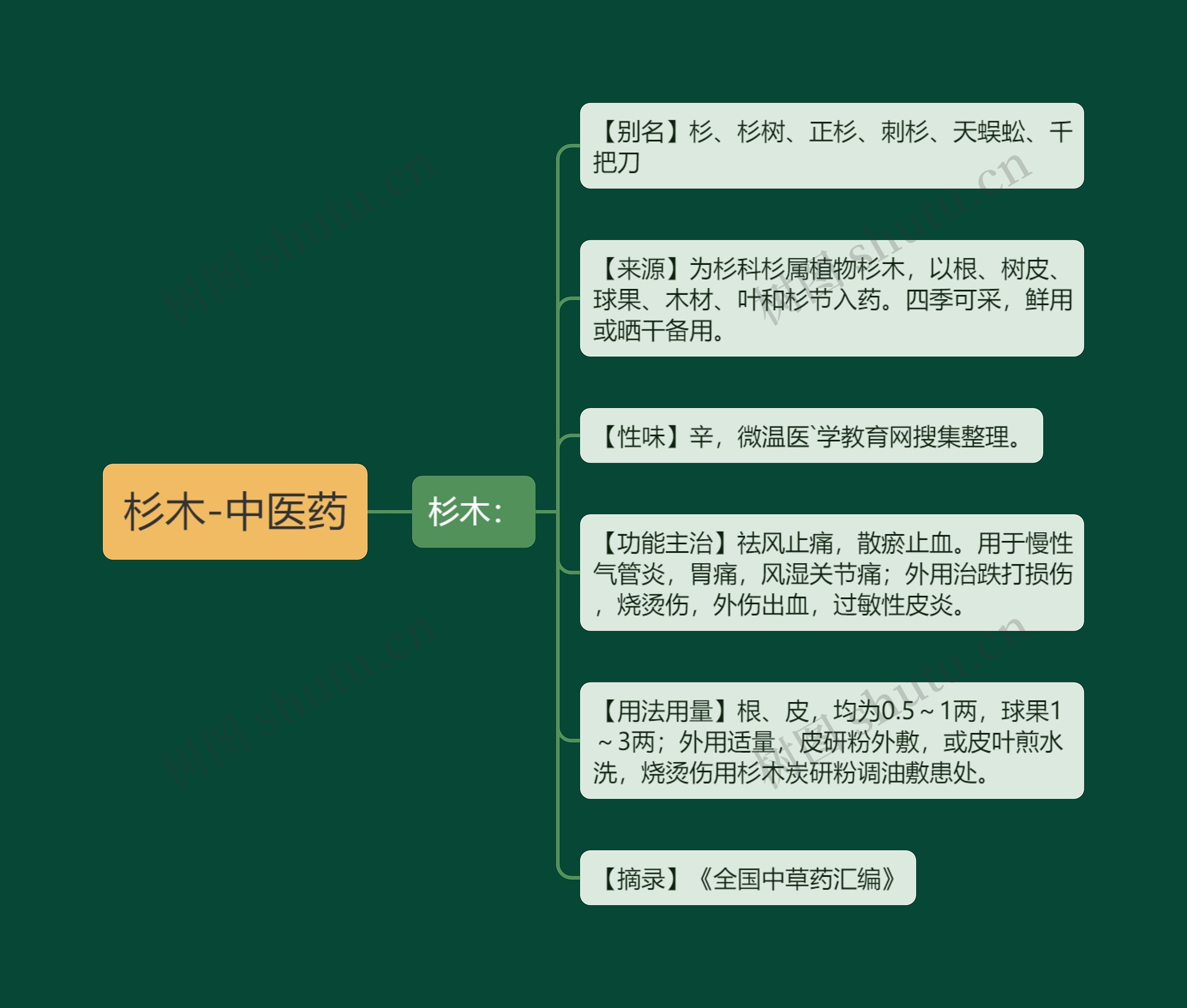 杉木-中医药
