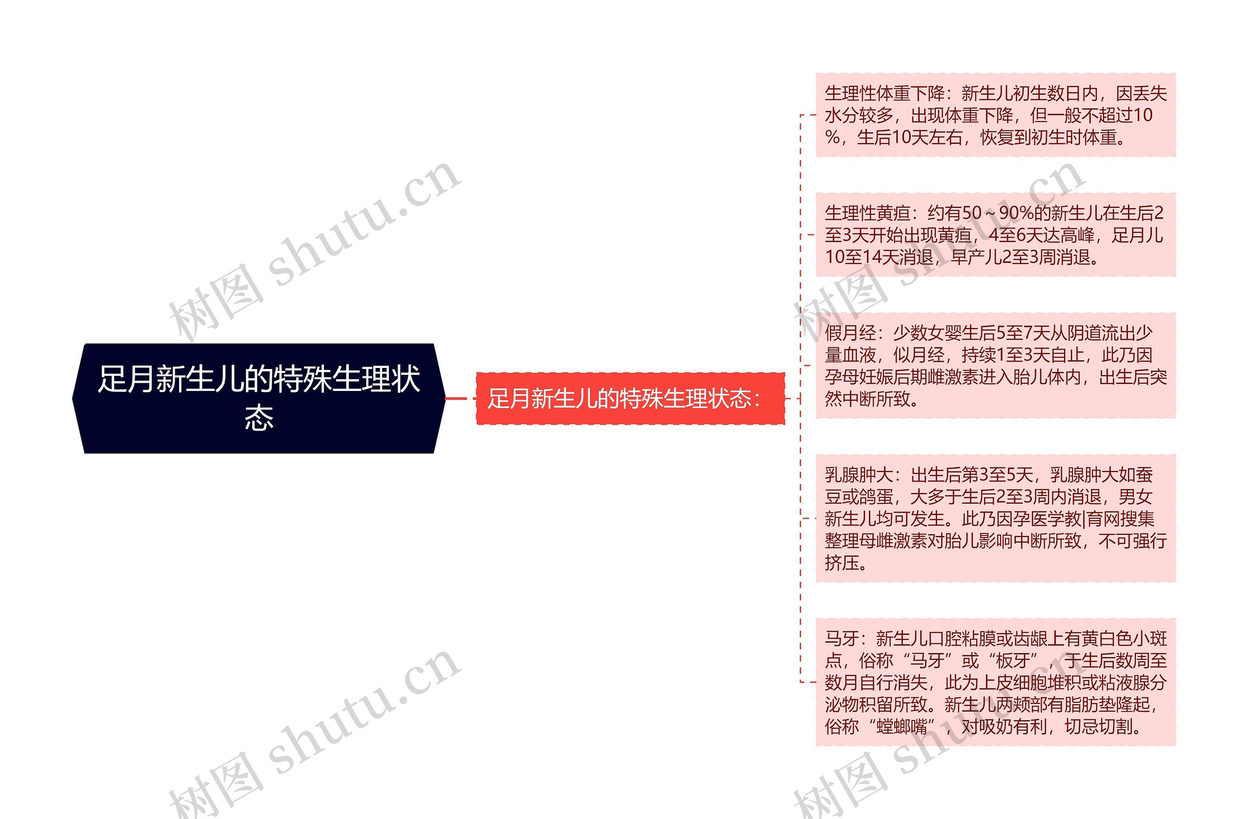 足月新生儿的特殊生理状态思维导图