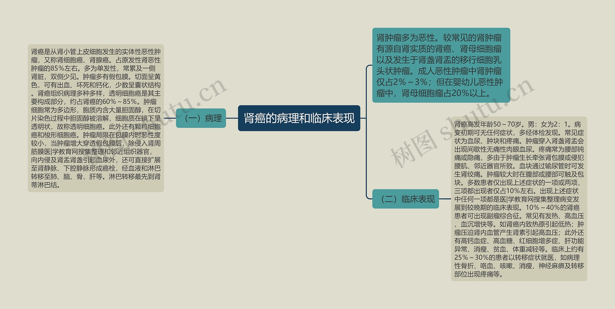 肾癌的病理和临床表现思维导图