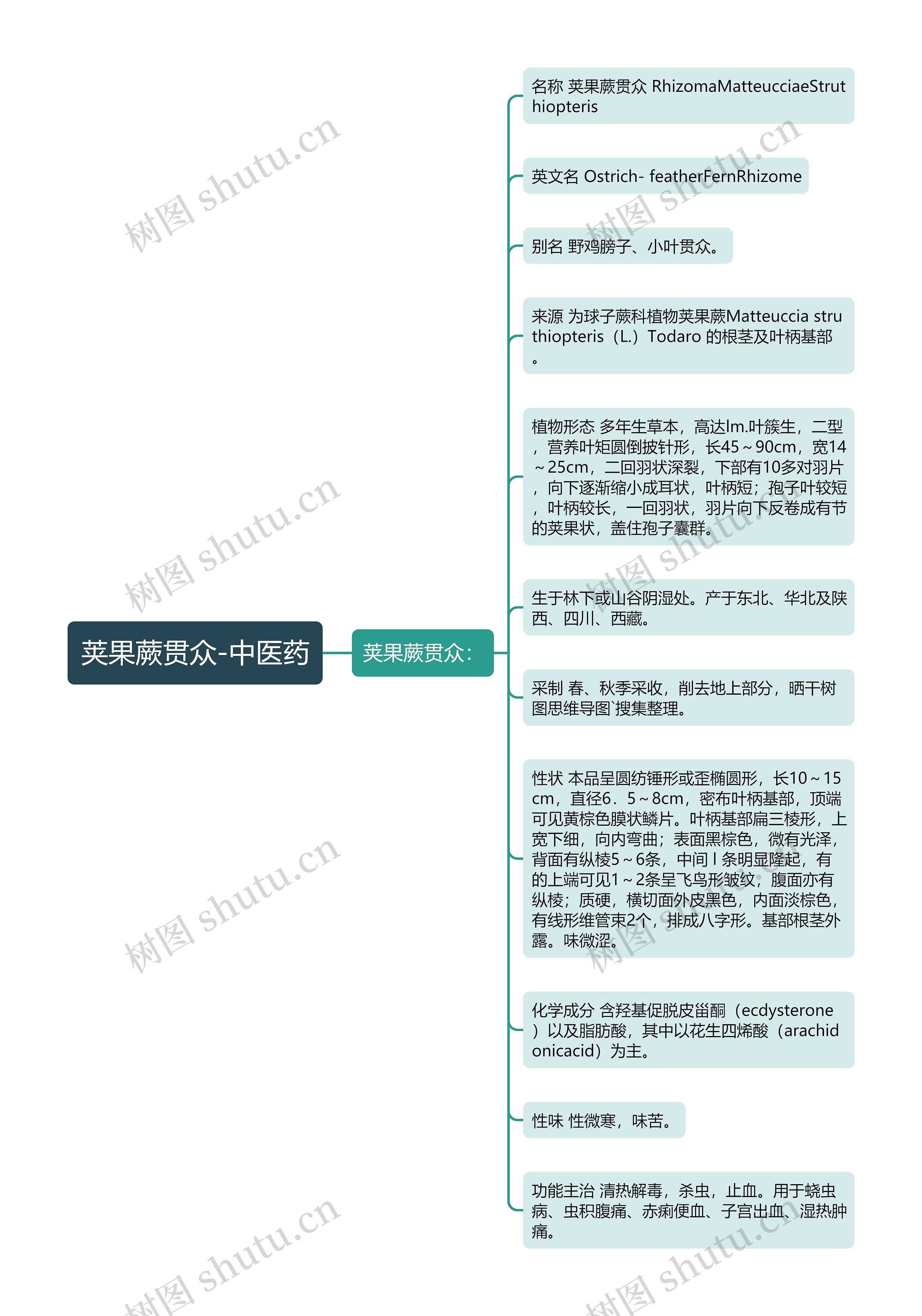 荚果蕨贯众-中医药思维导图