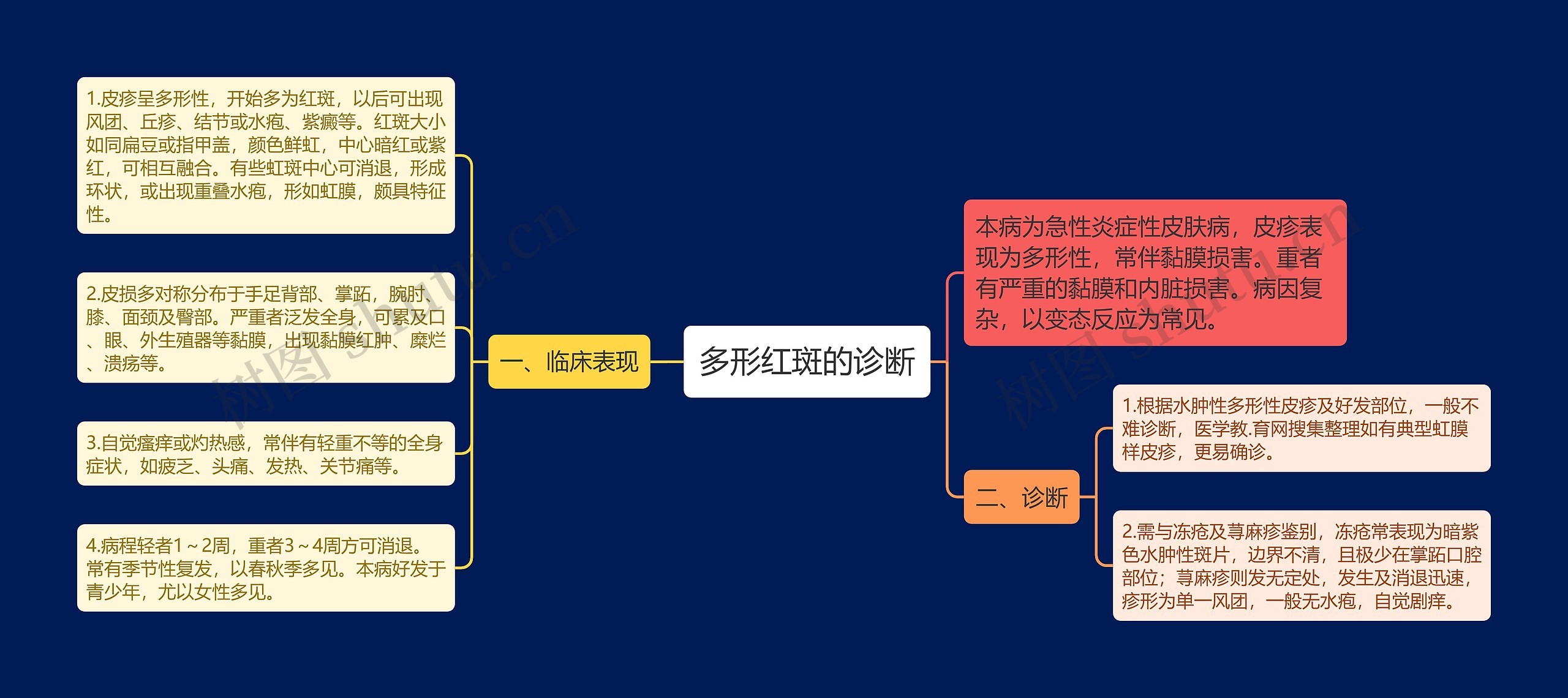 多形红斑的诊断