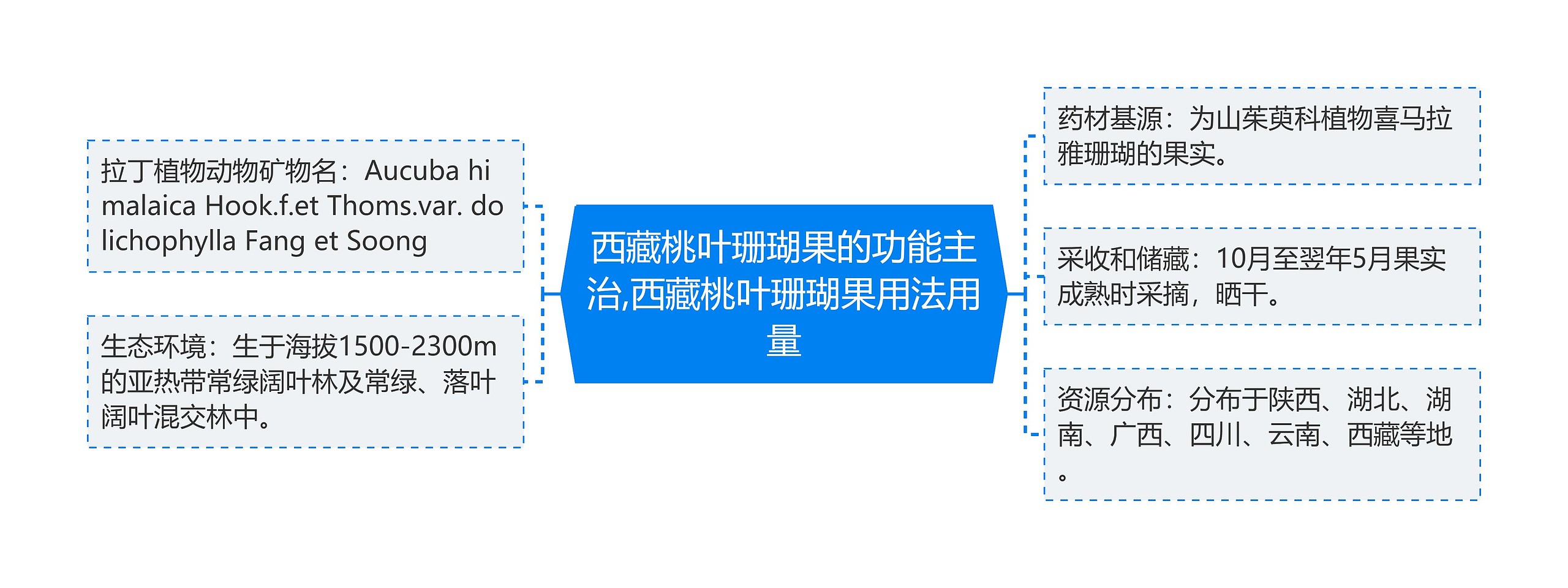 西藏桃叶珊瑚果的功能主治,西藏桃叶珊瑚果用法用量