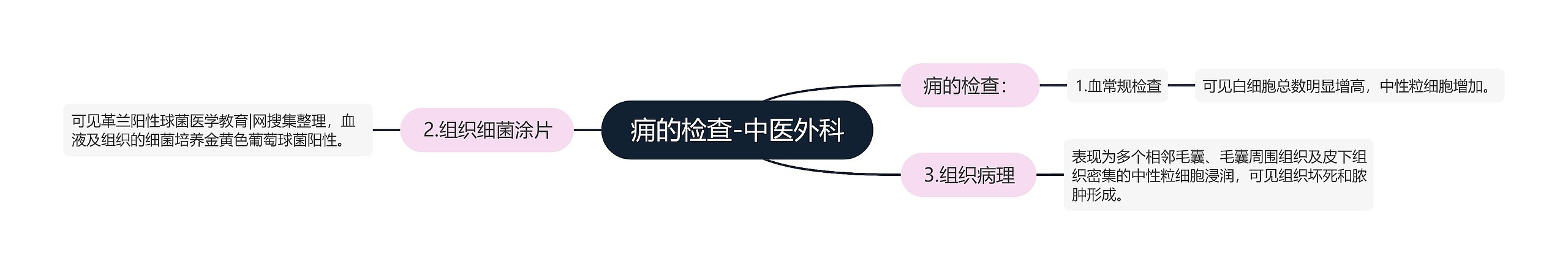 痈的检查-中医外科 痈的检查-中医外科