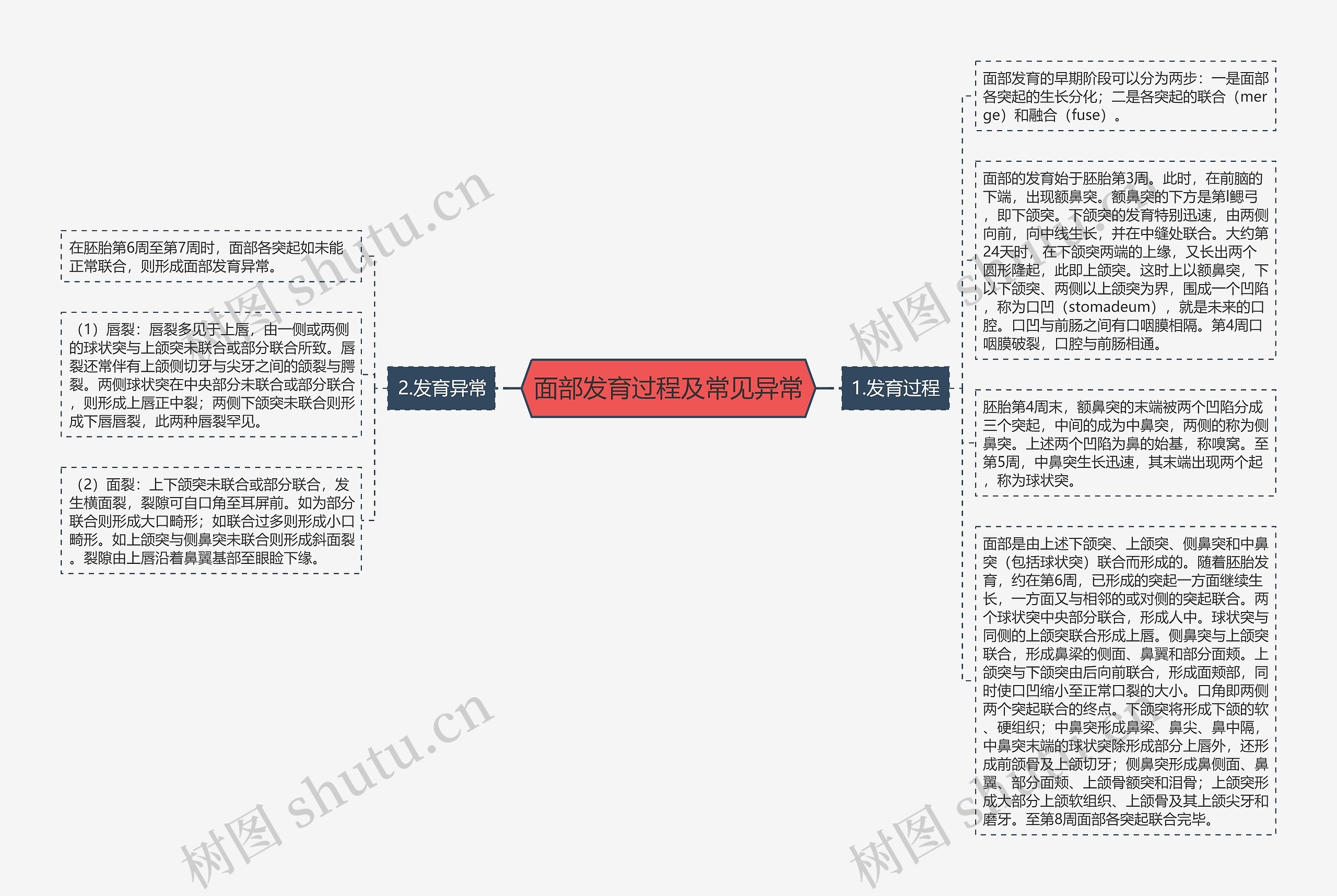 面部发育过程及常见异常思维导图