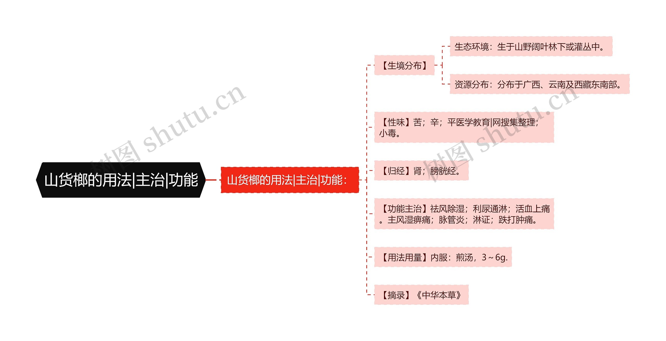 山货榔的用法|主治|功能思维导图