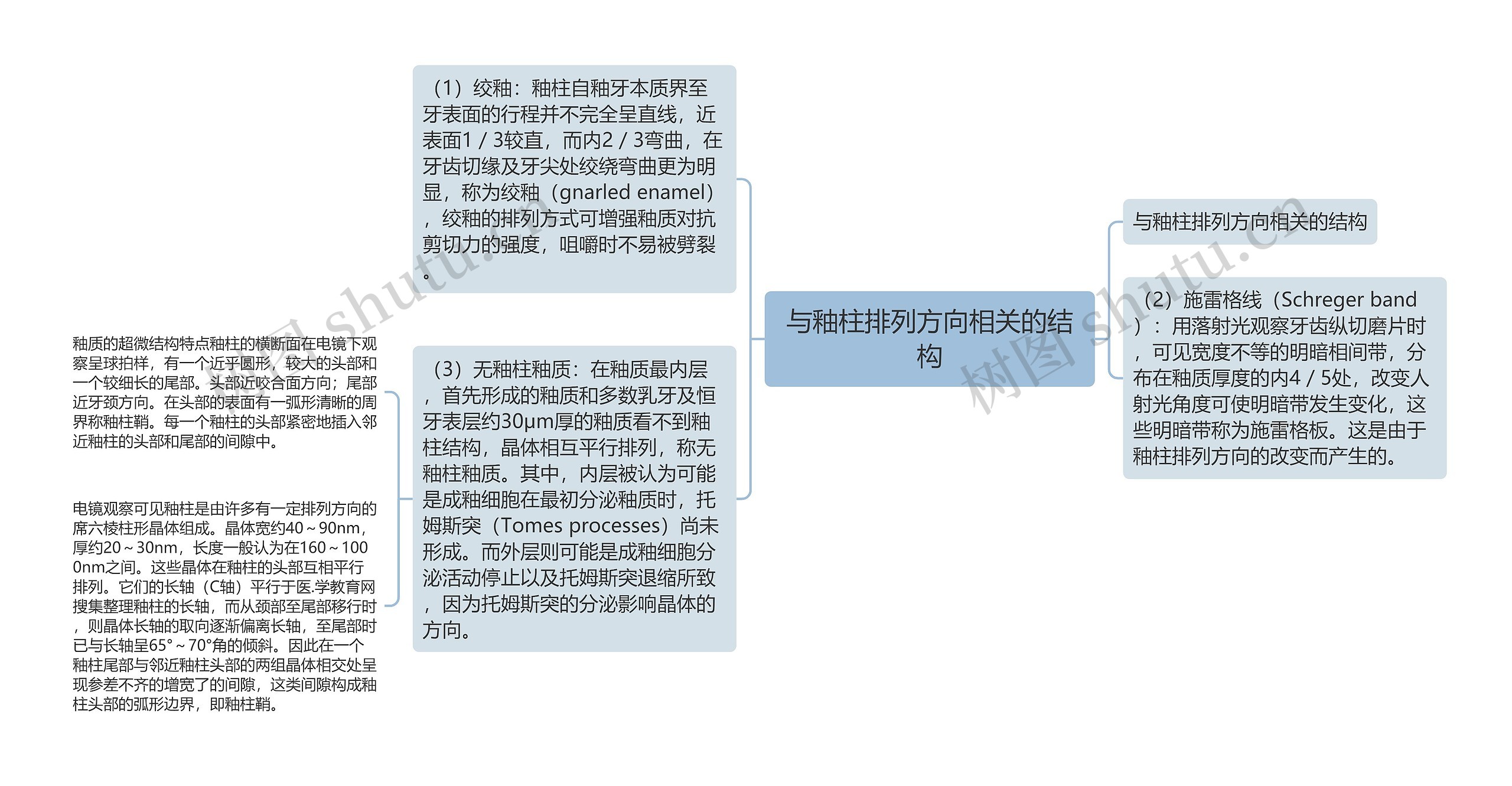 与釉柱排列方向相关的结构思维导图