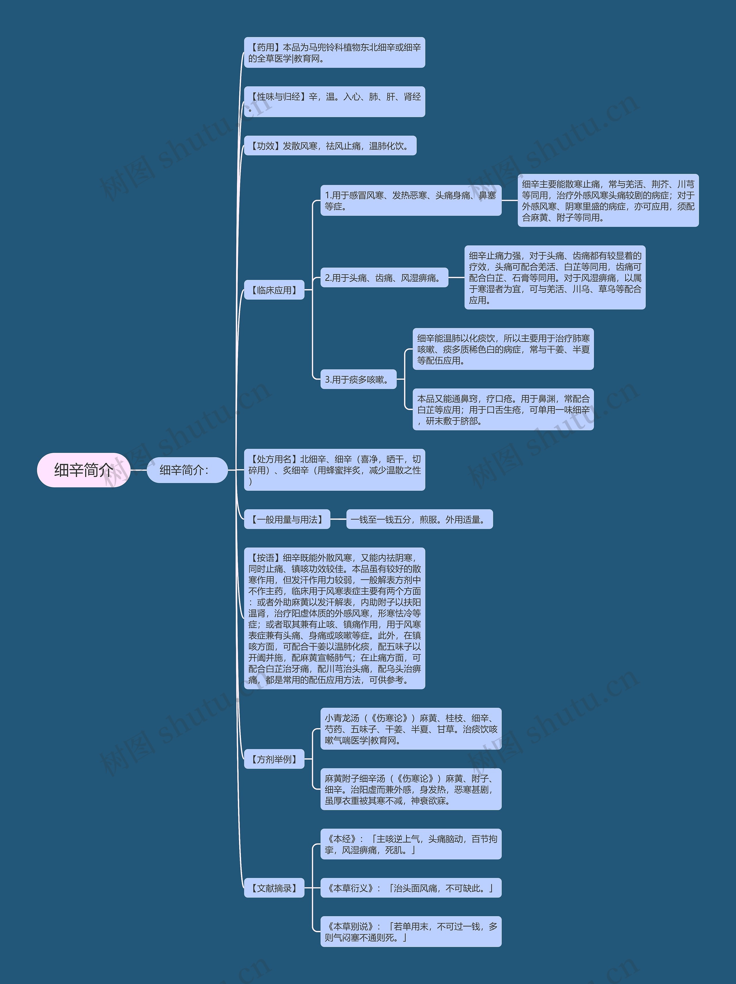 细辛简介思维导图