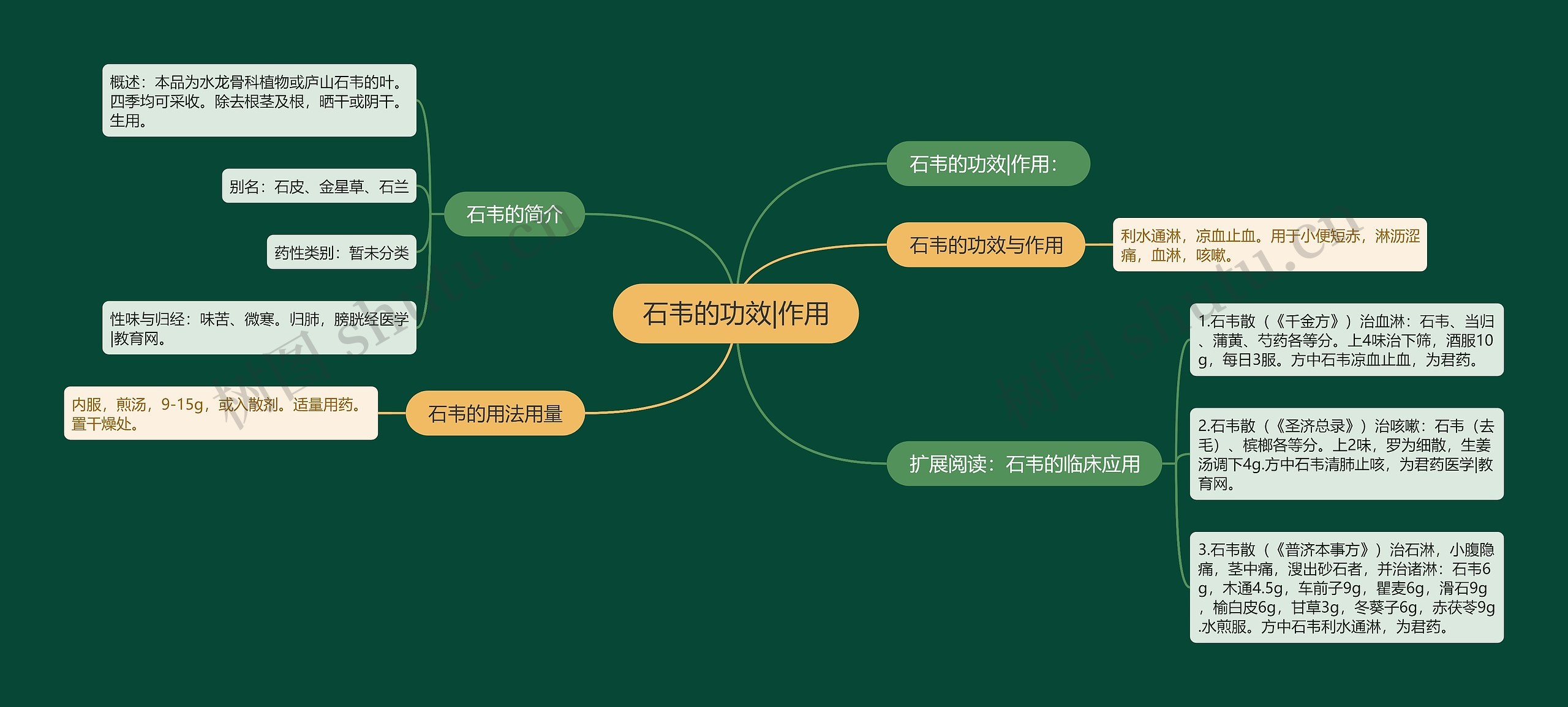 石韦的功效|作用思维导图