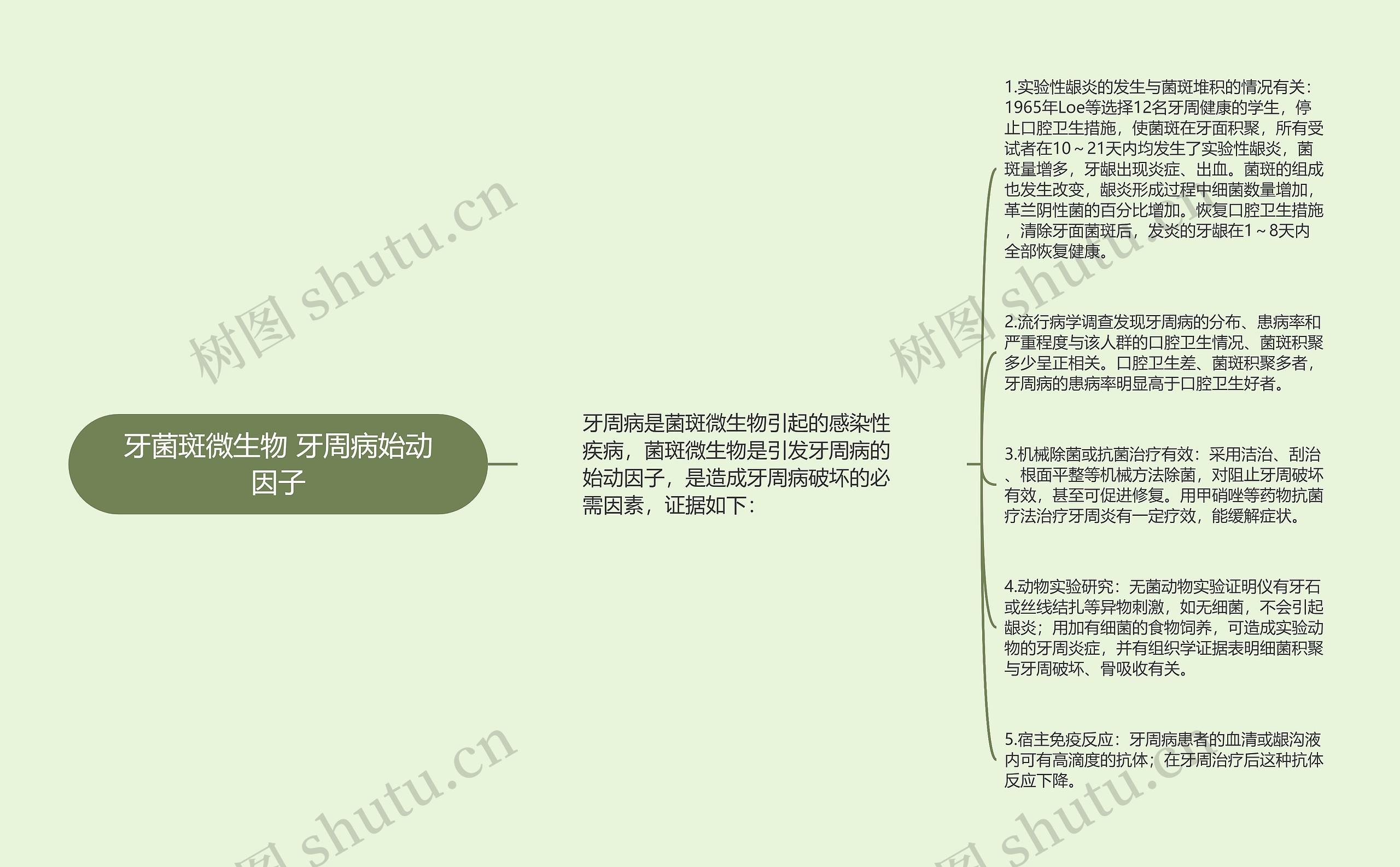 牙菌斑微生物 牙周病始动因子思维导图