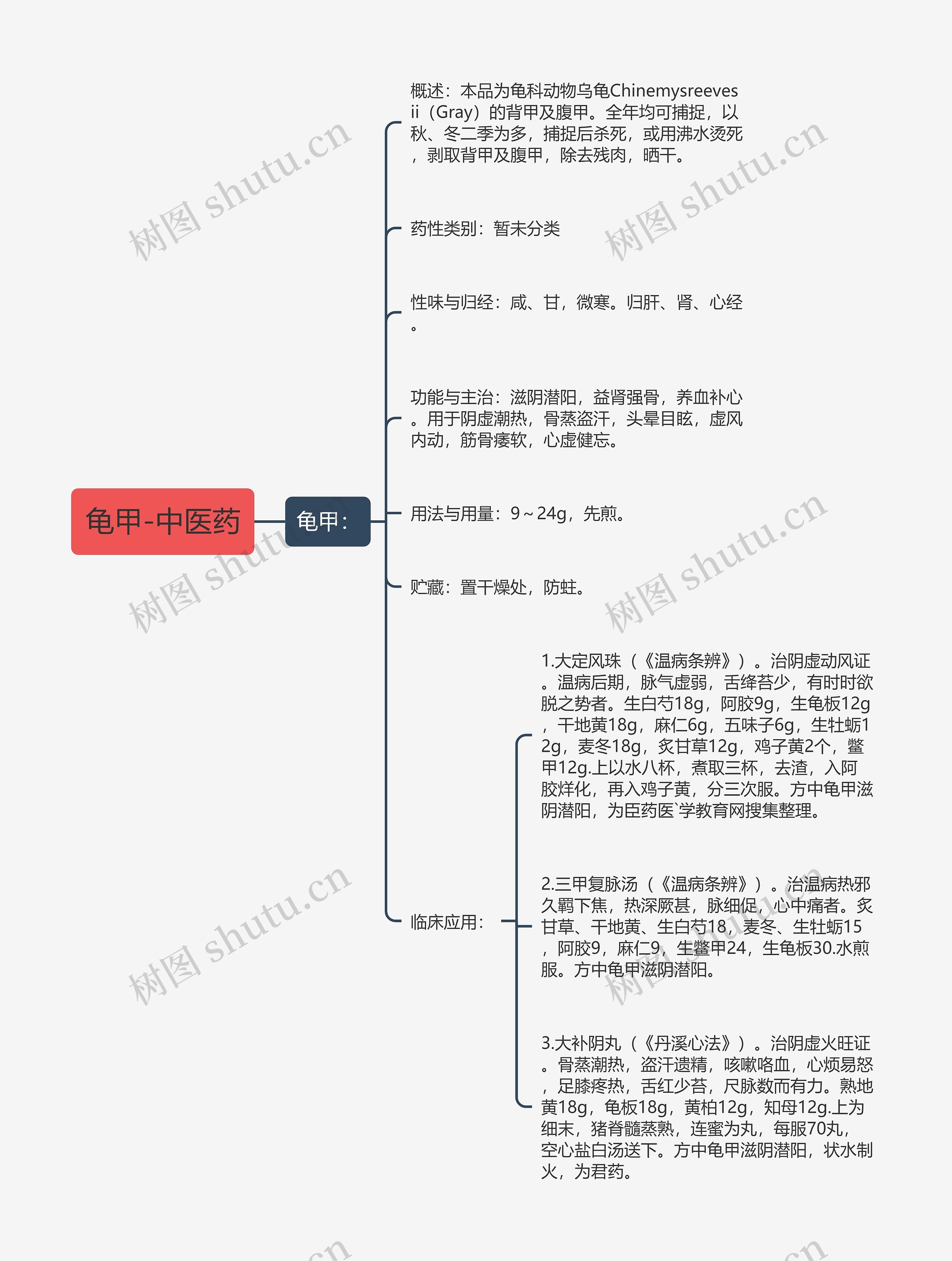 龟甲-中医药思维导图