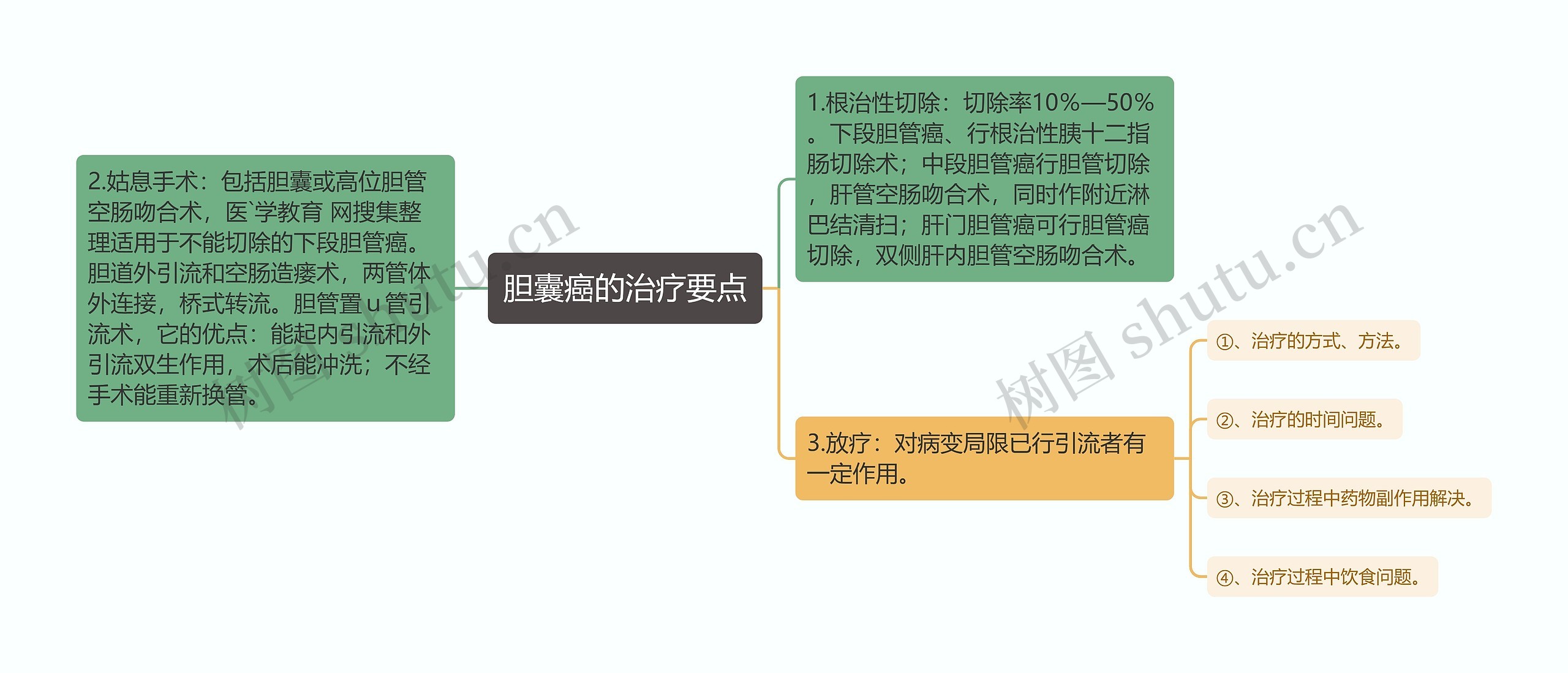 胆囊癌的治疗要点思维导图