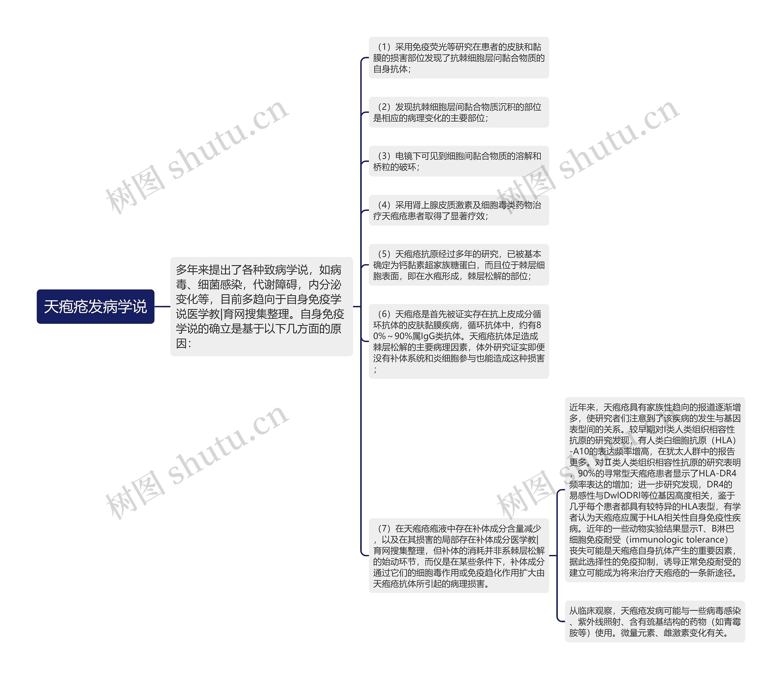 天疱疮发病学说思维导图