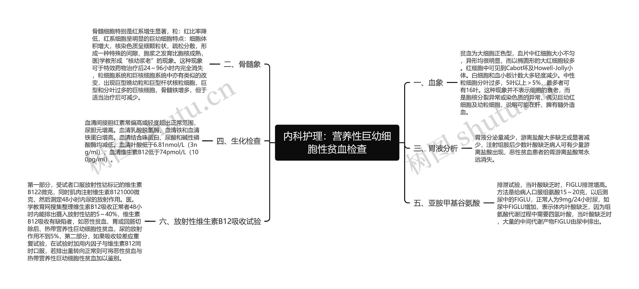 内科护理：营养性巨幼细胞性贫血检查思维导图