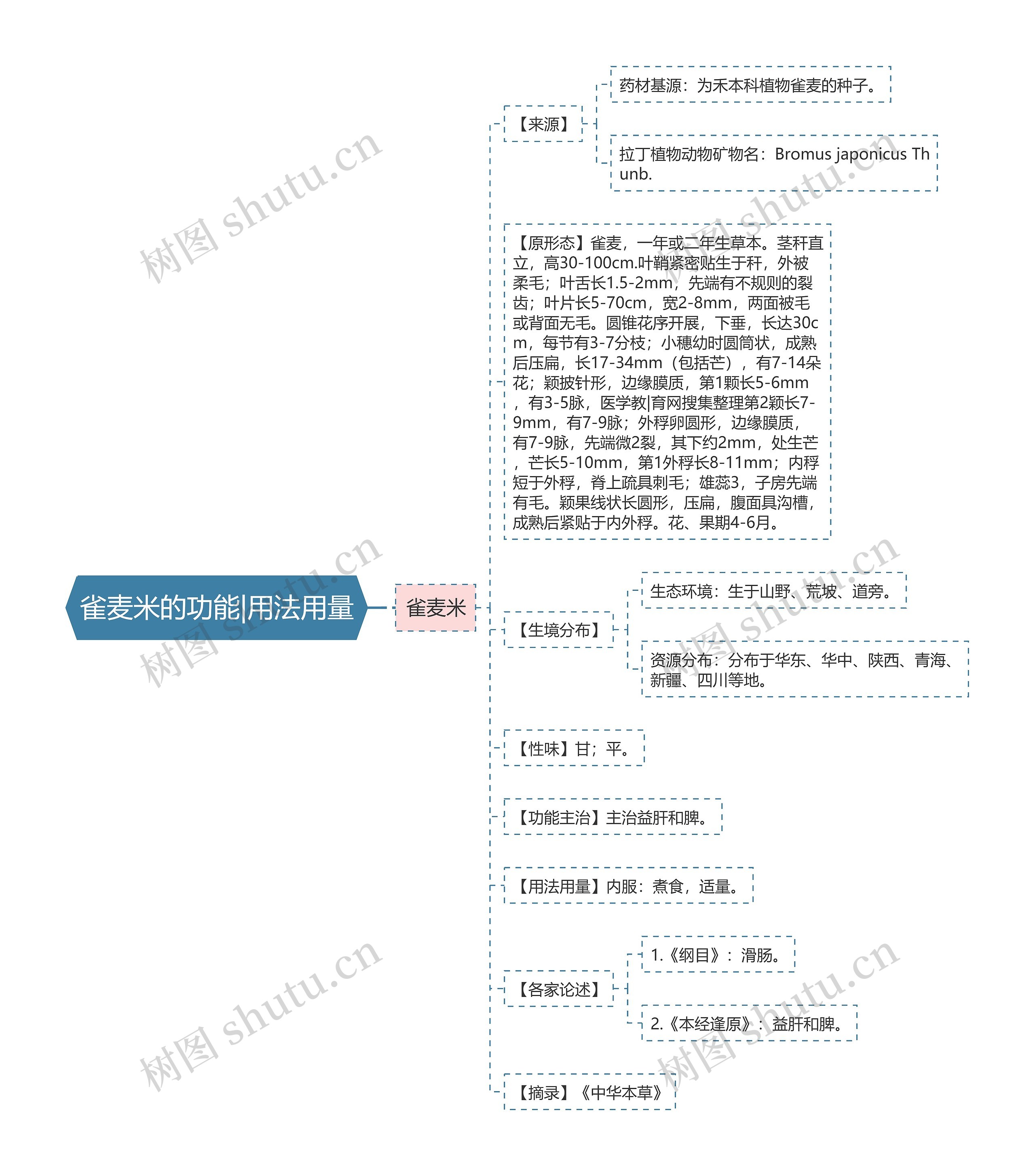 雀麦米的功能|用法用量思维导图