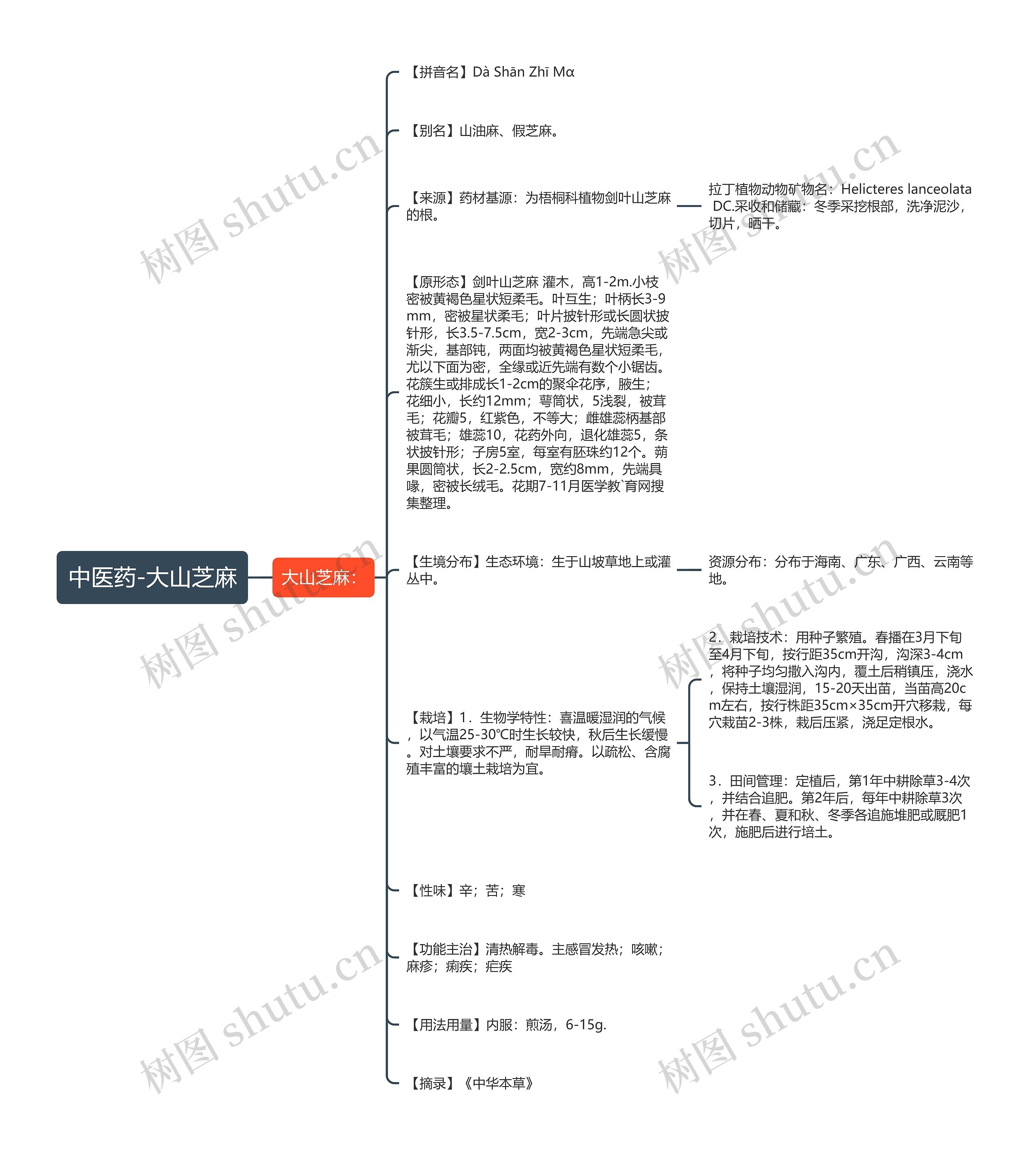 中医药-大山芝麻思维导图