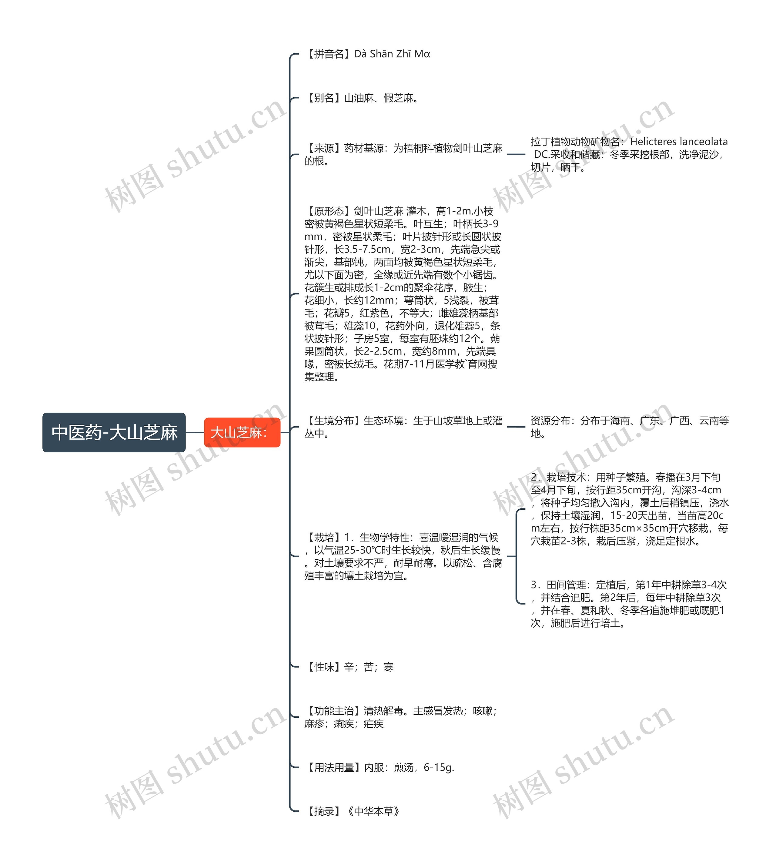 中医药-大山芝麻 中医药-大山芝麻