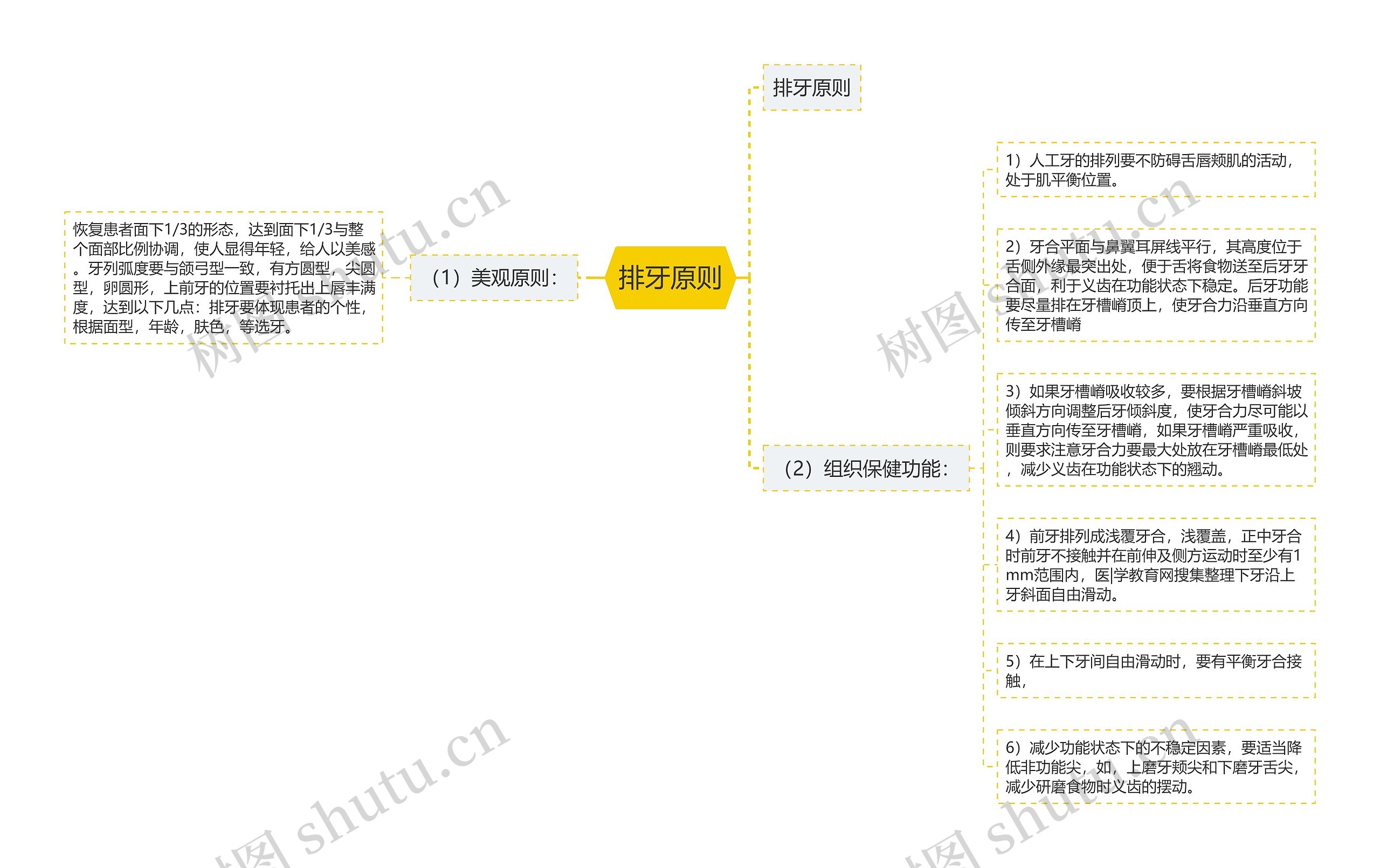 排牙原则思维导图