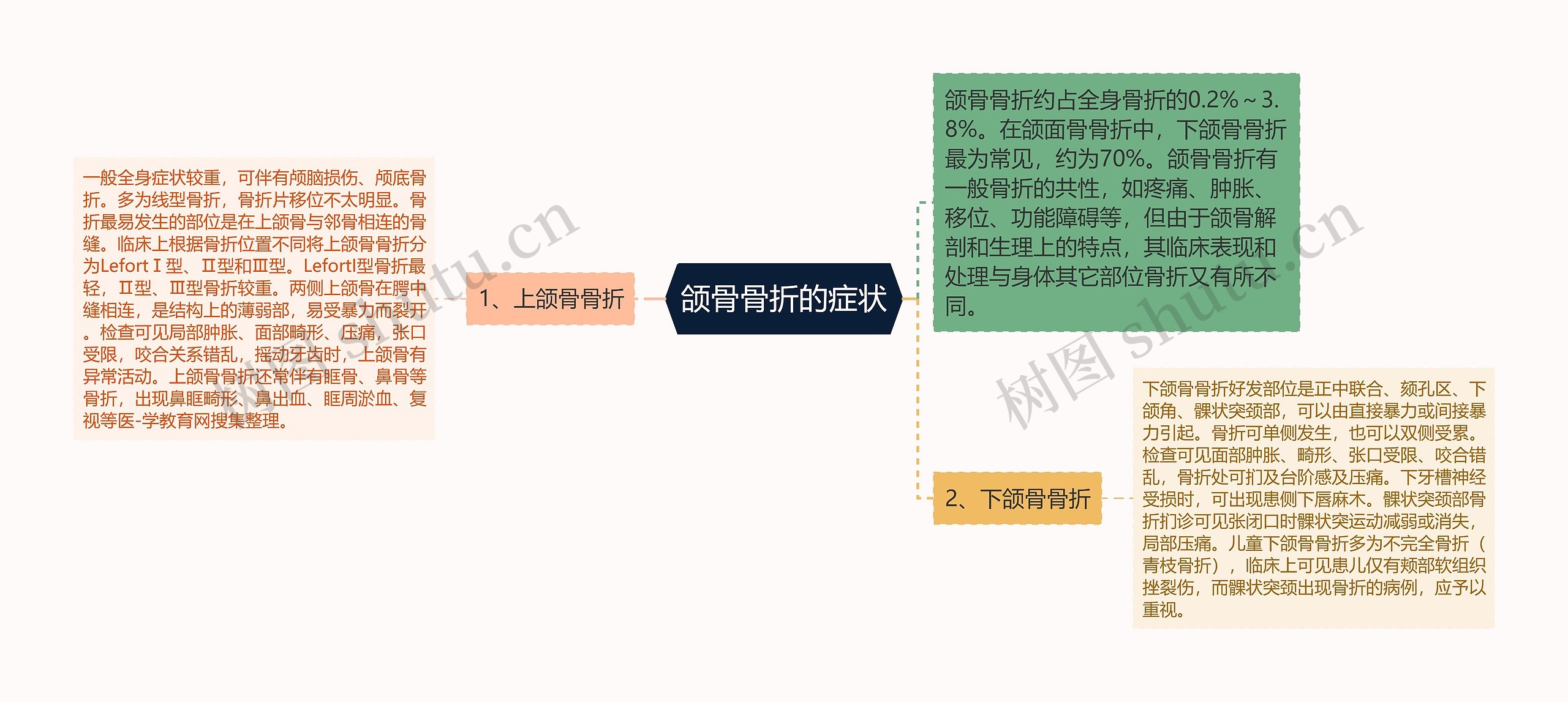 颌骨骨折的症状思维导图