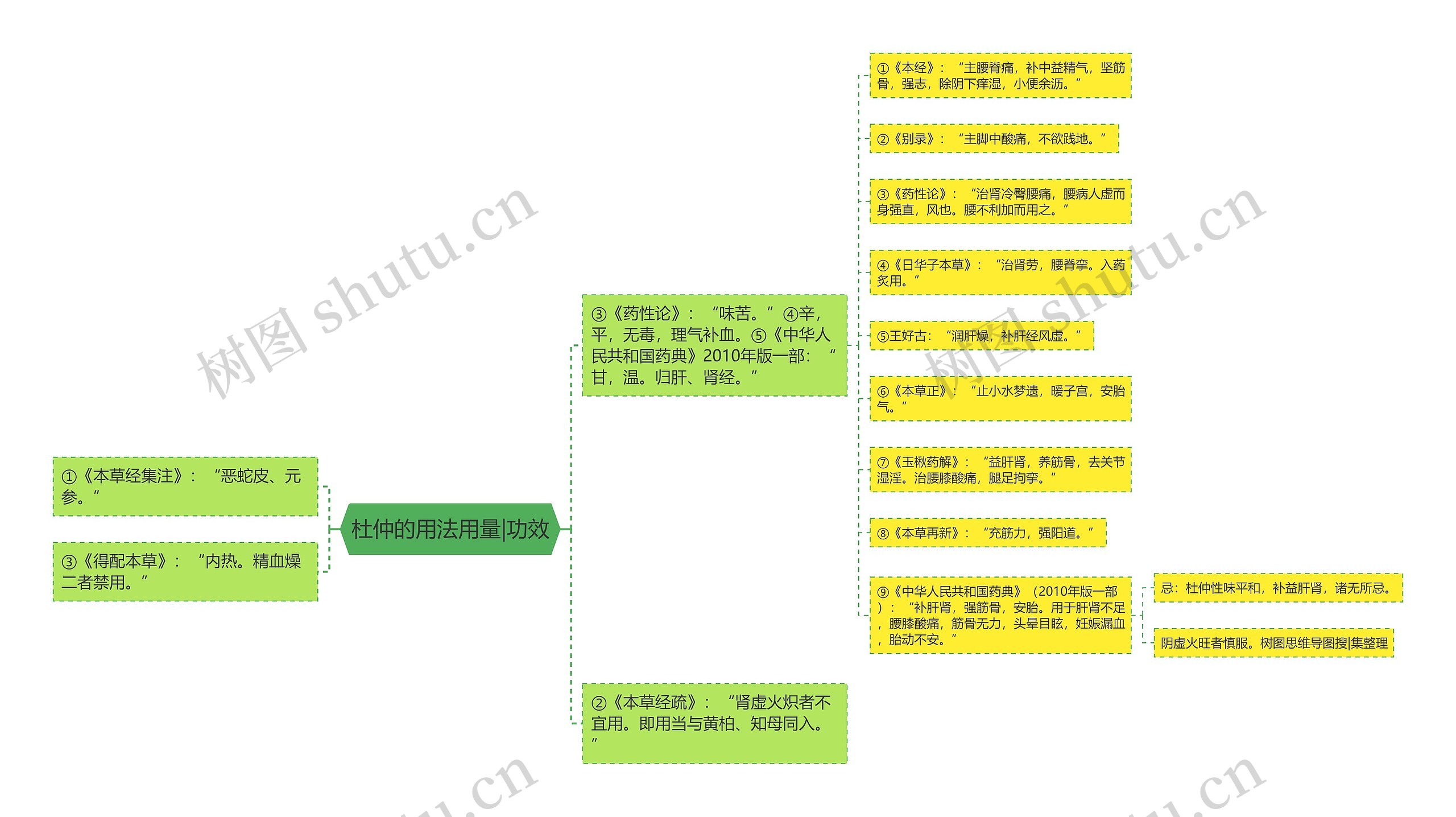杜仲的用法用量|功效思维导图