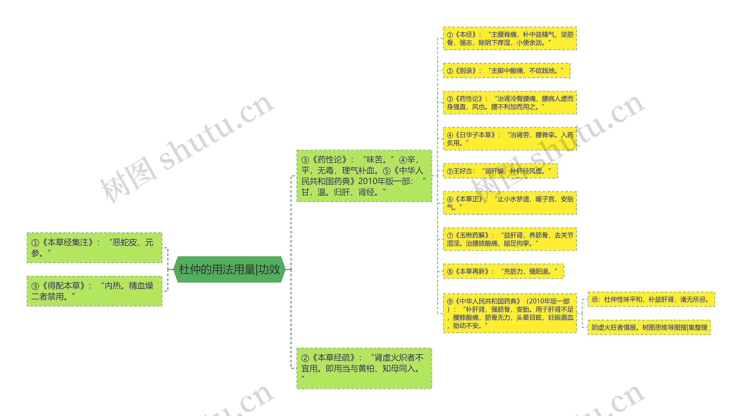 杜仲的用法用量|功效 杜仲的用法用量|功效