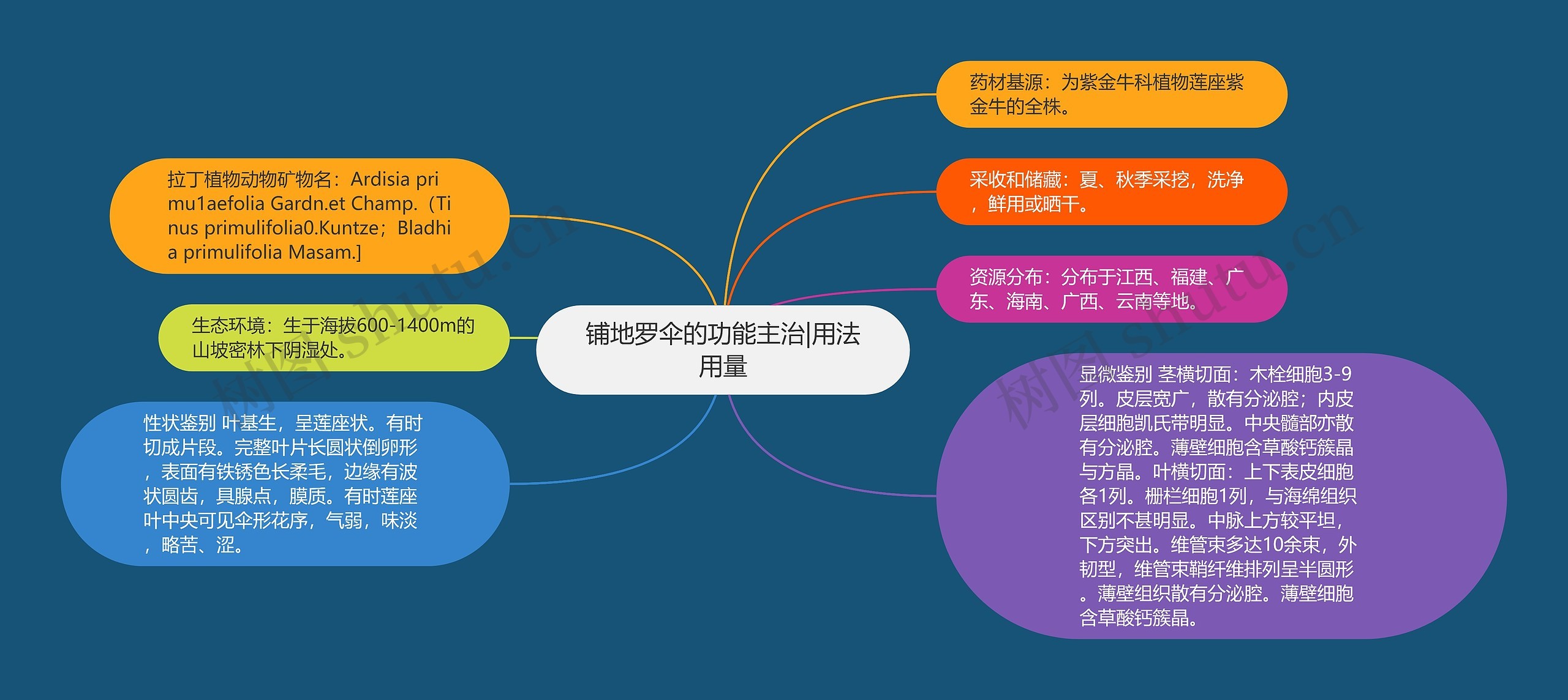 铺地罗伞的功能主治|用法用量思维导图