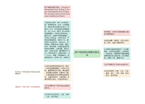 榛子花的用法用量|功能主治