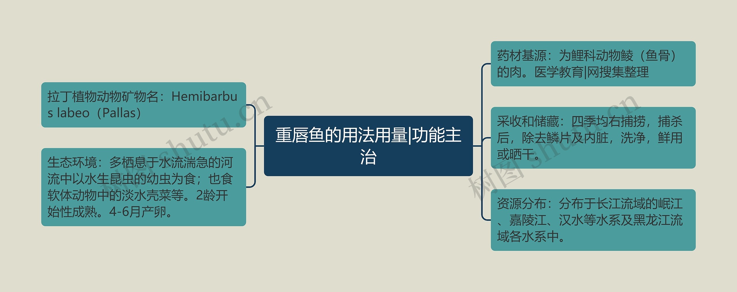 重唇鱼的用法用量|功能主治