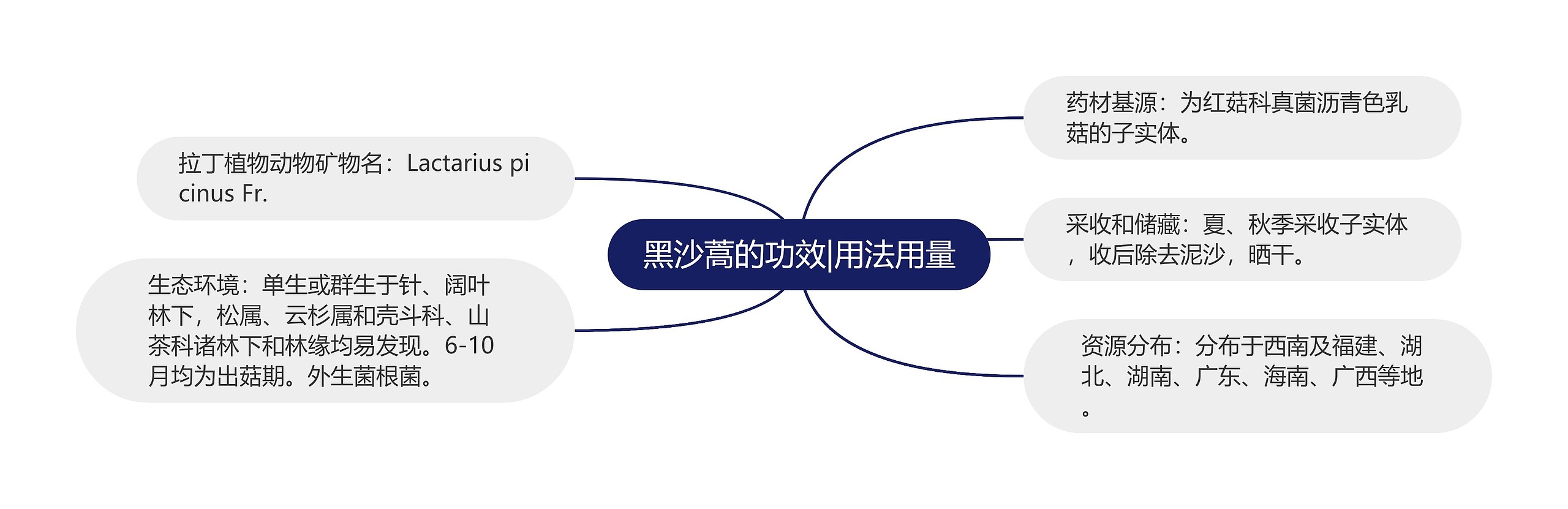 黑沙蒿的功效|用法用量 黑沙蒿的功效|用法用量