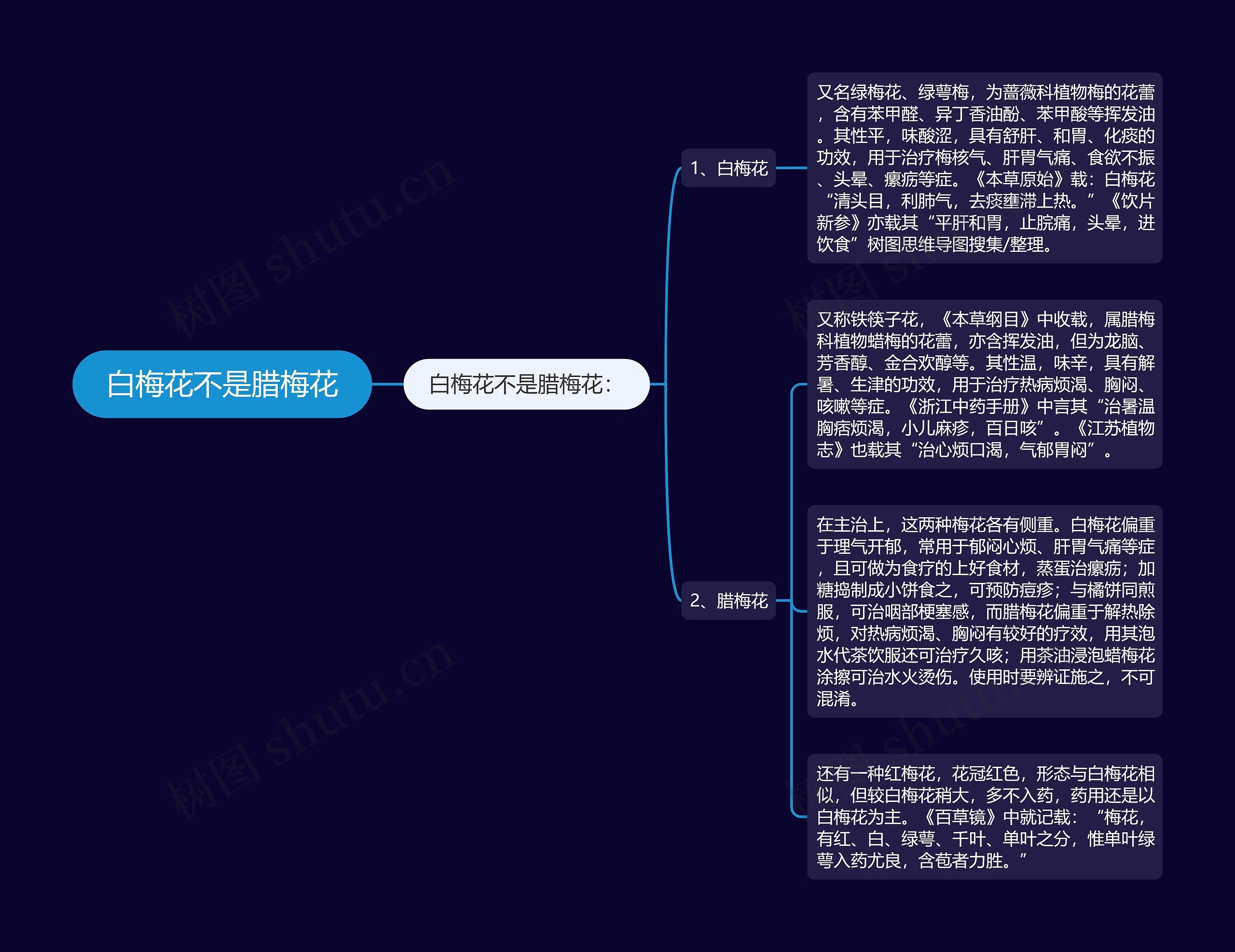 白梅花不是腊梅花思维导图