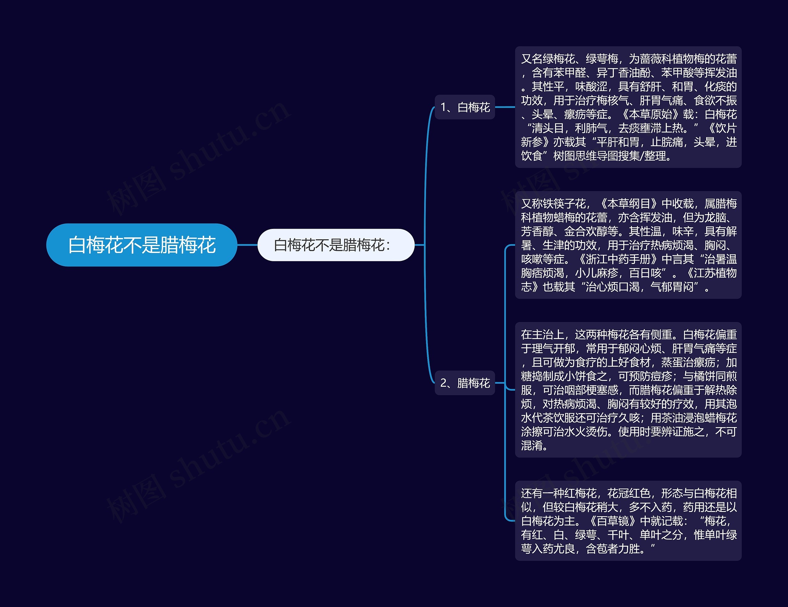 白梅花不是腊梅花 白梅花不是腊梅花