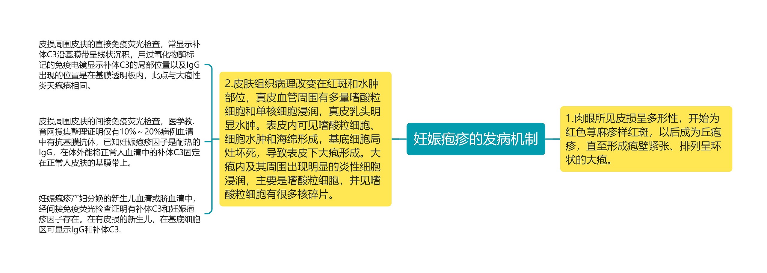 妊娠疱疹的发病机制 妊娠疱疹的发病机制