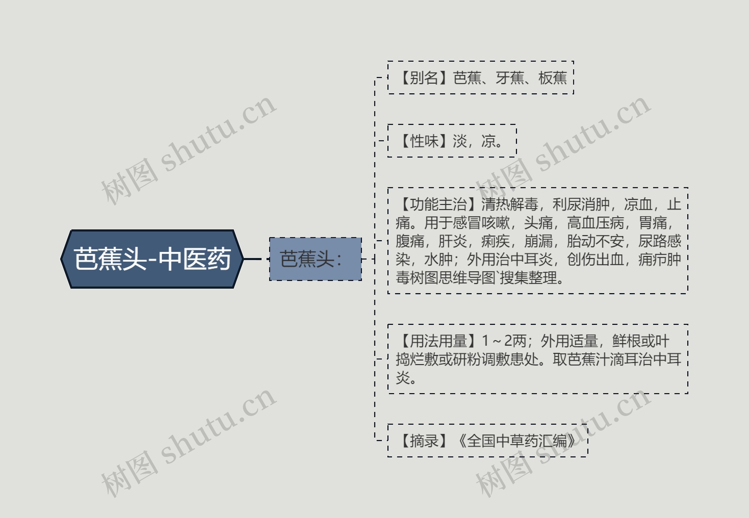 芭蕉头-中医药思维导图