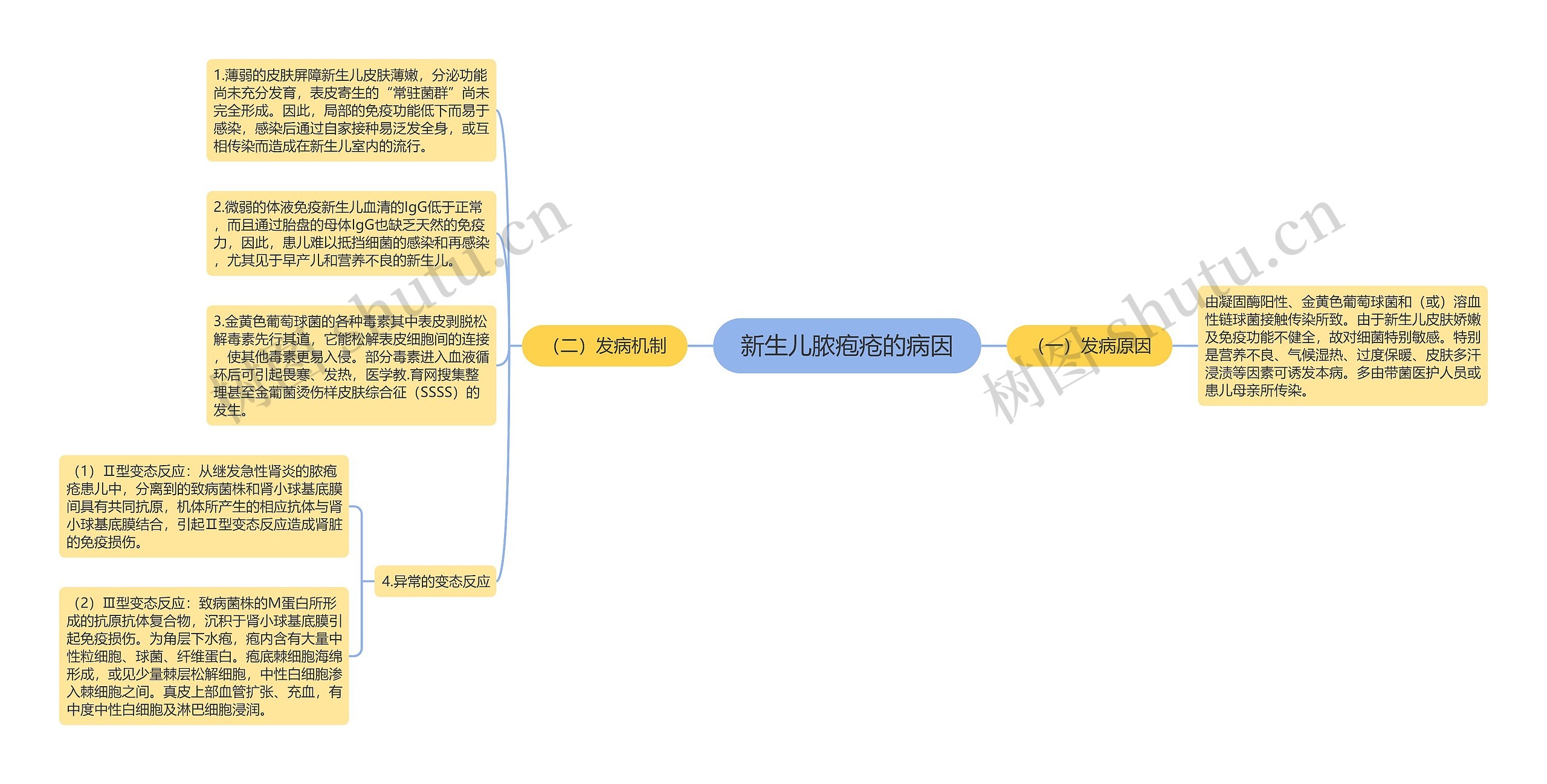 新生儿脓疱疮的病因思维导图