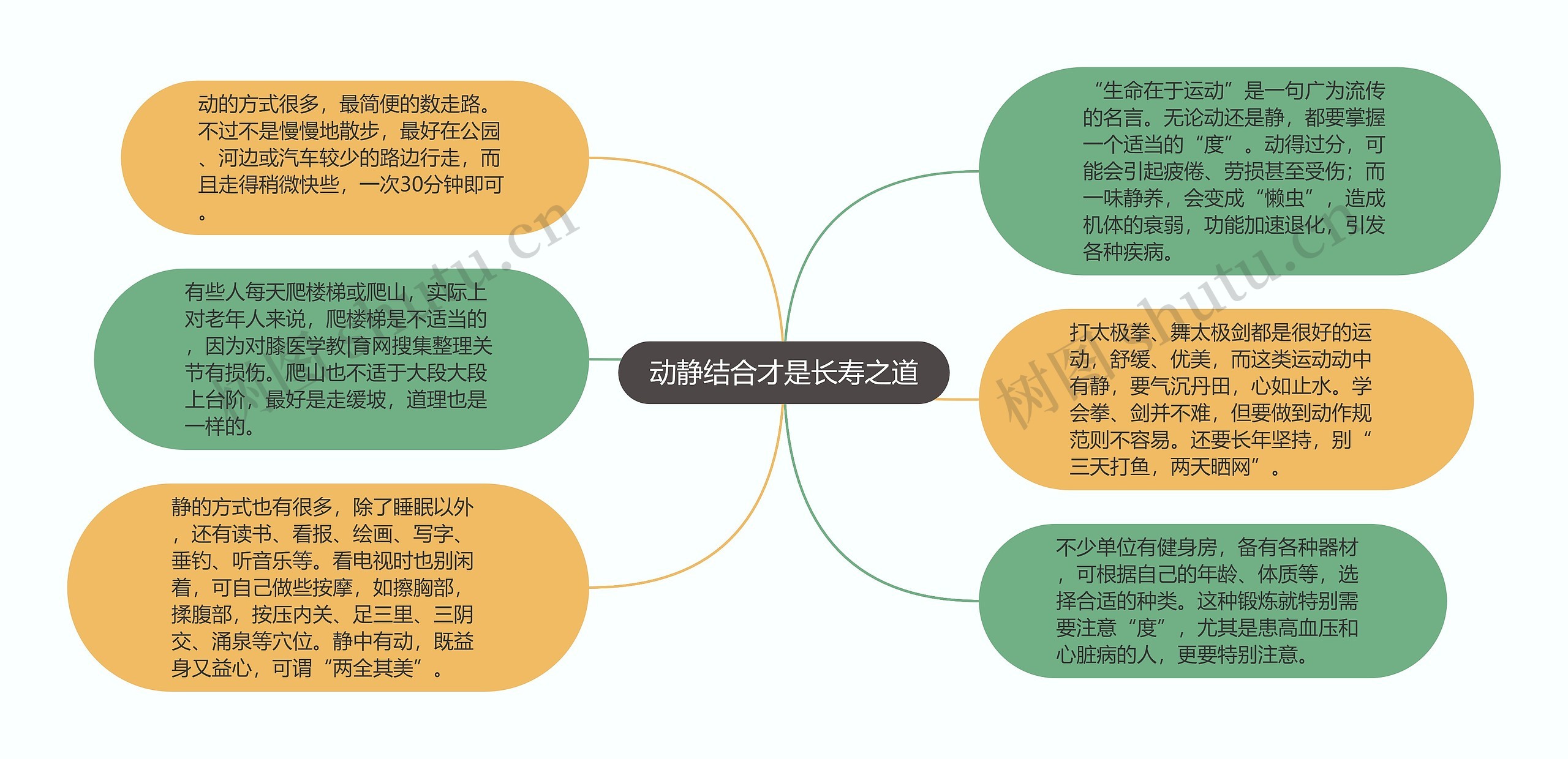 动静结合才是长寿之道思维导图