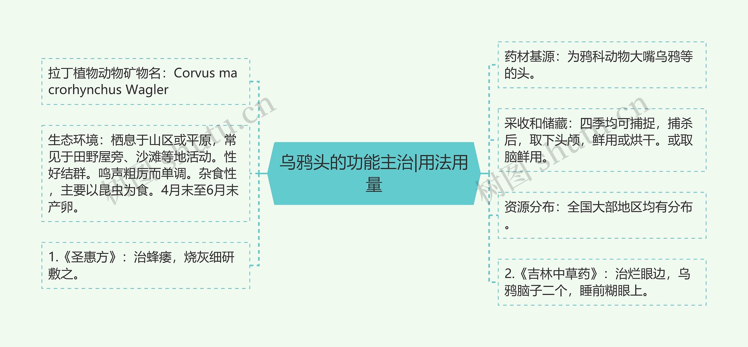 乌鸦头的功能主治|用法用量思维导图