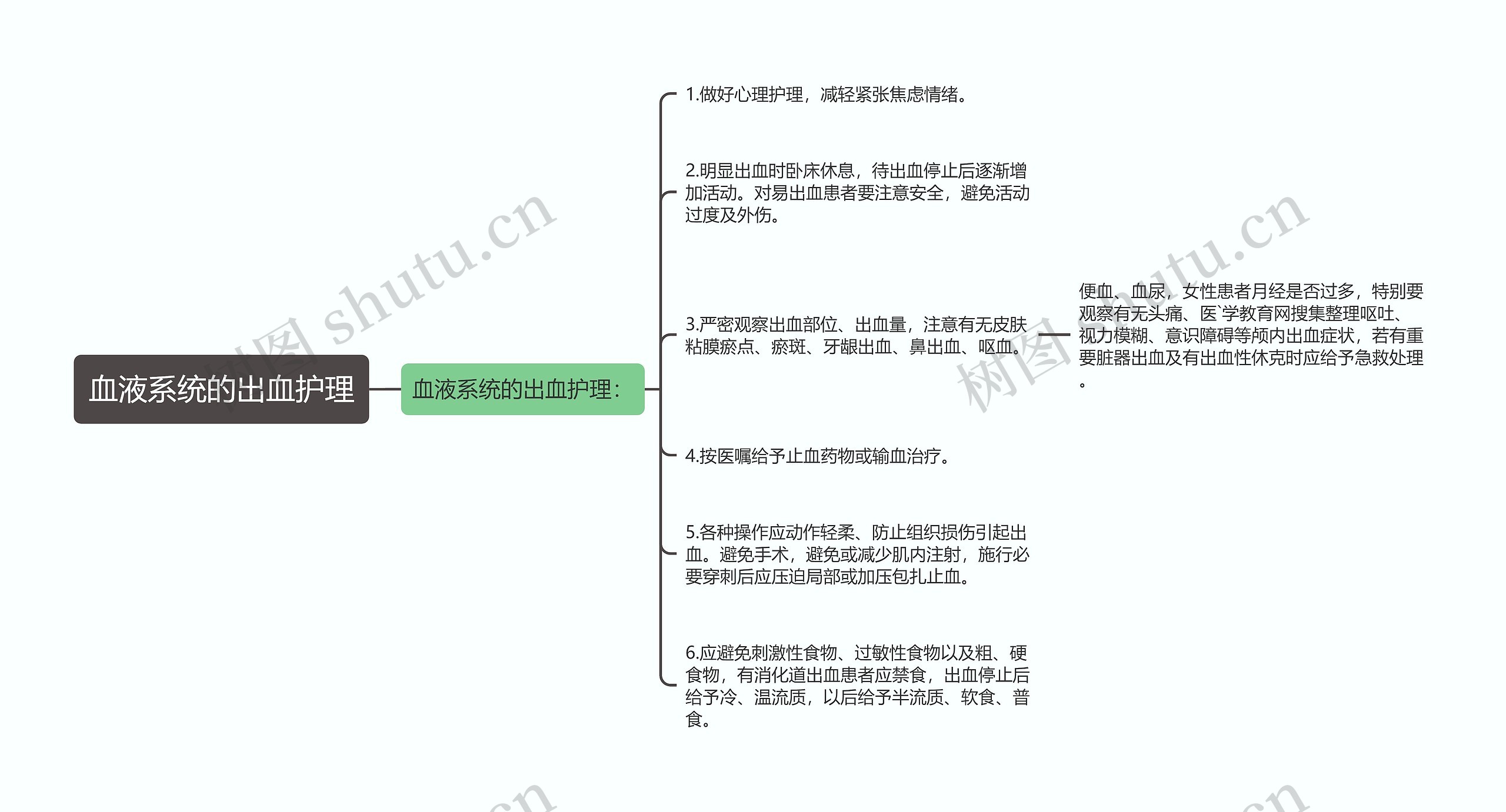 血液系统的出血护理思维导图