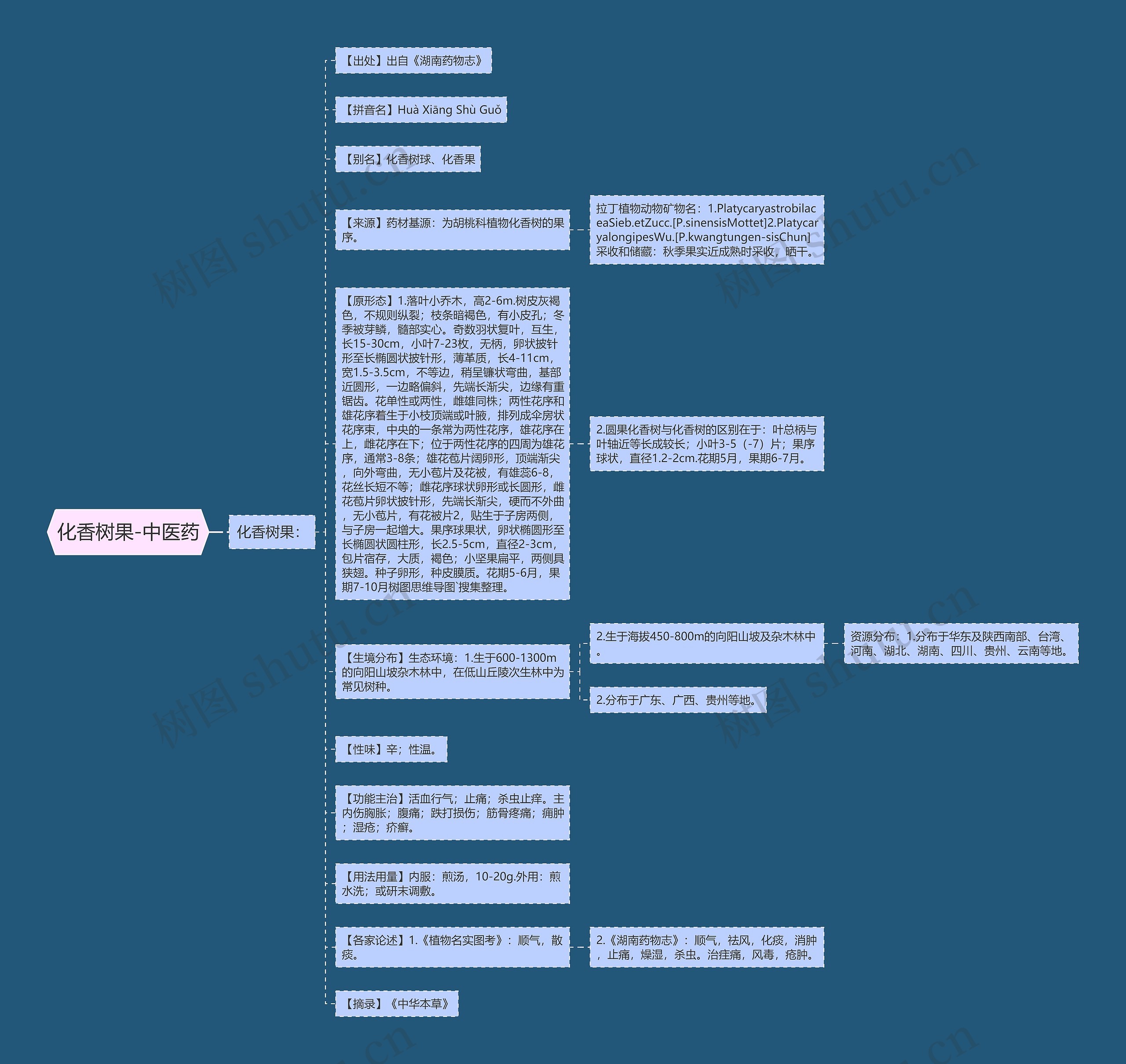 化香树果-中医药 化香树果-中医药