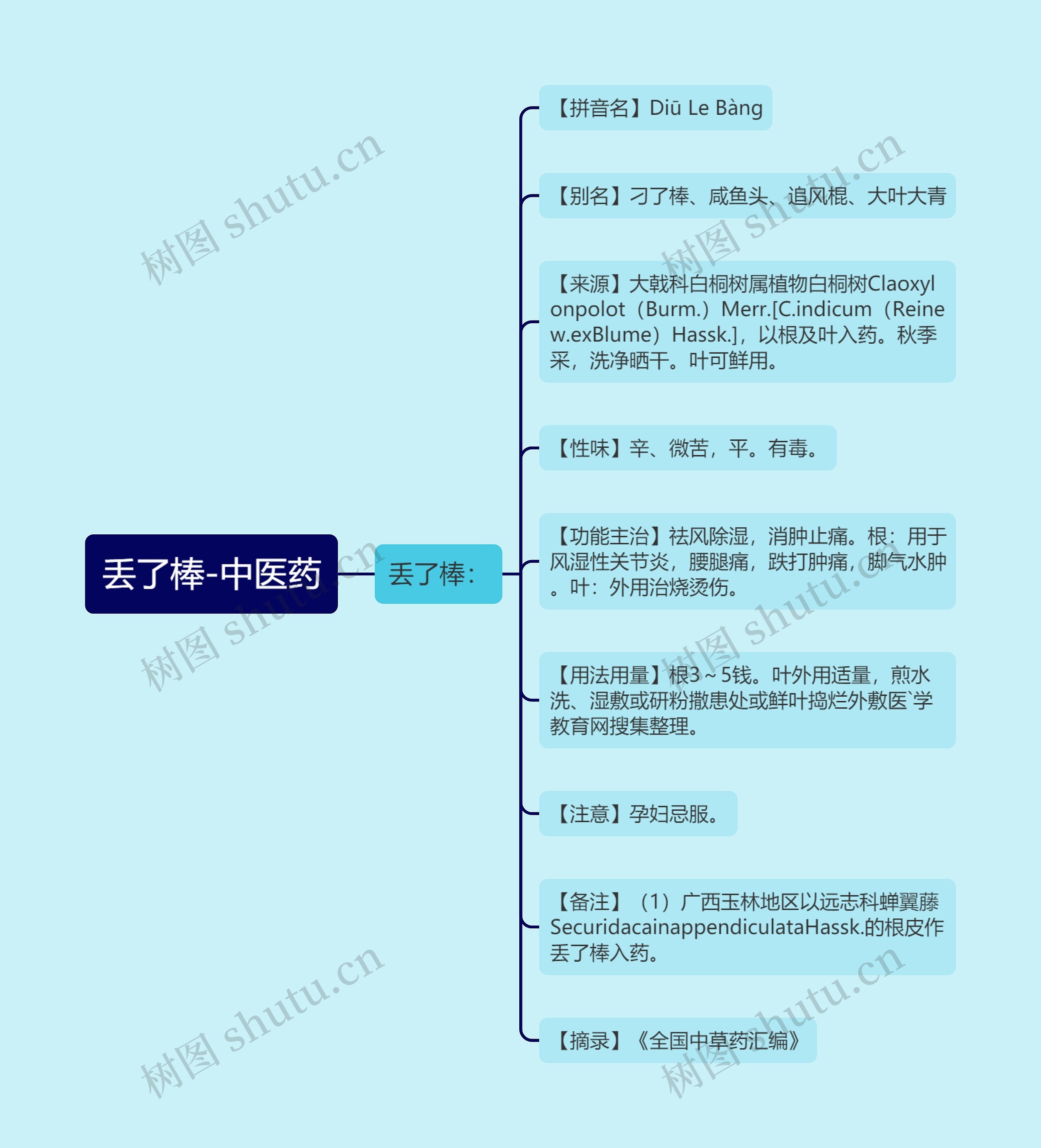 丢了棒-中医药思维导图